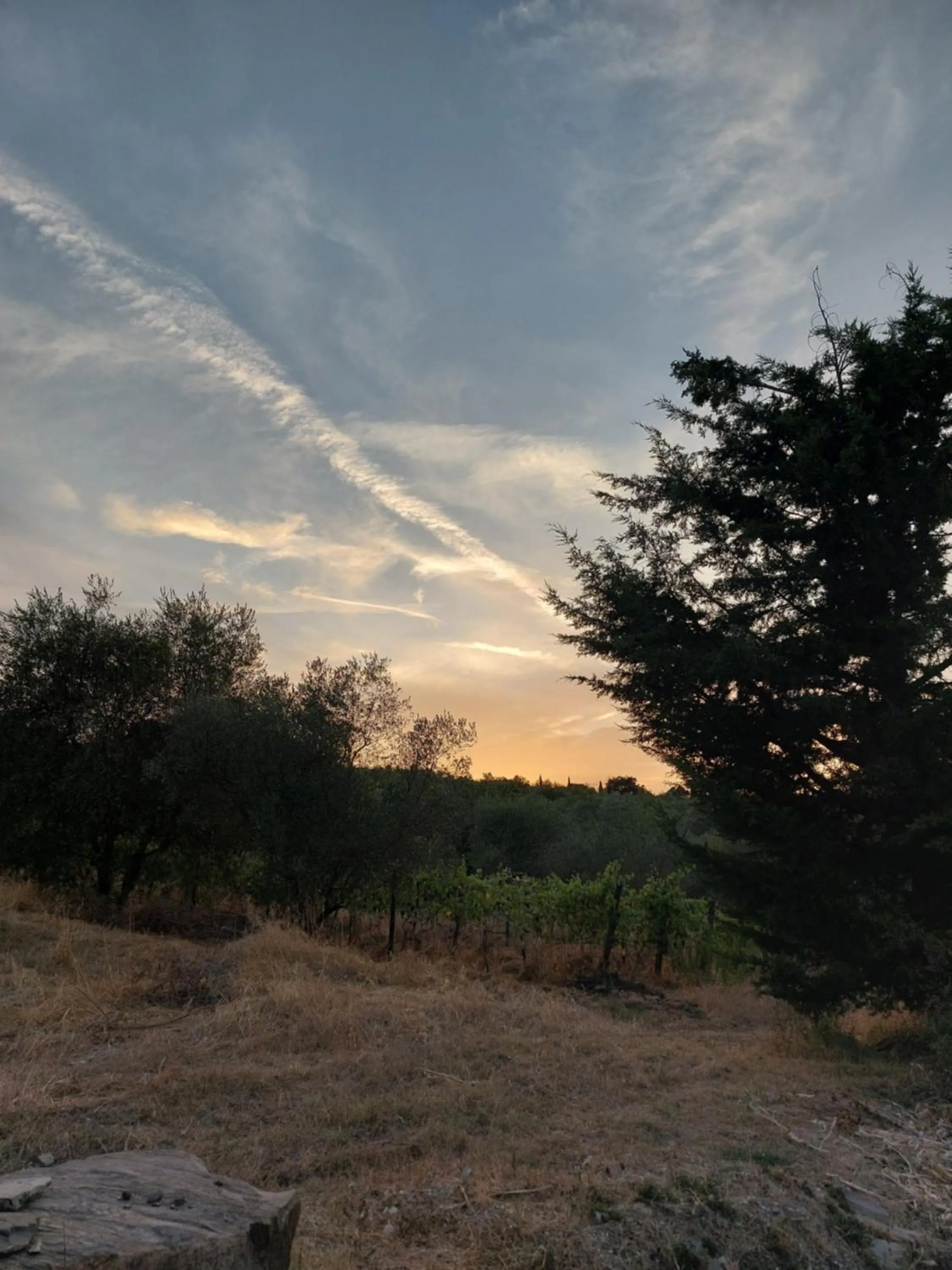 Natural landscape in Fattoria Il Milione Agriturismo