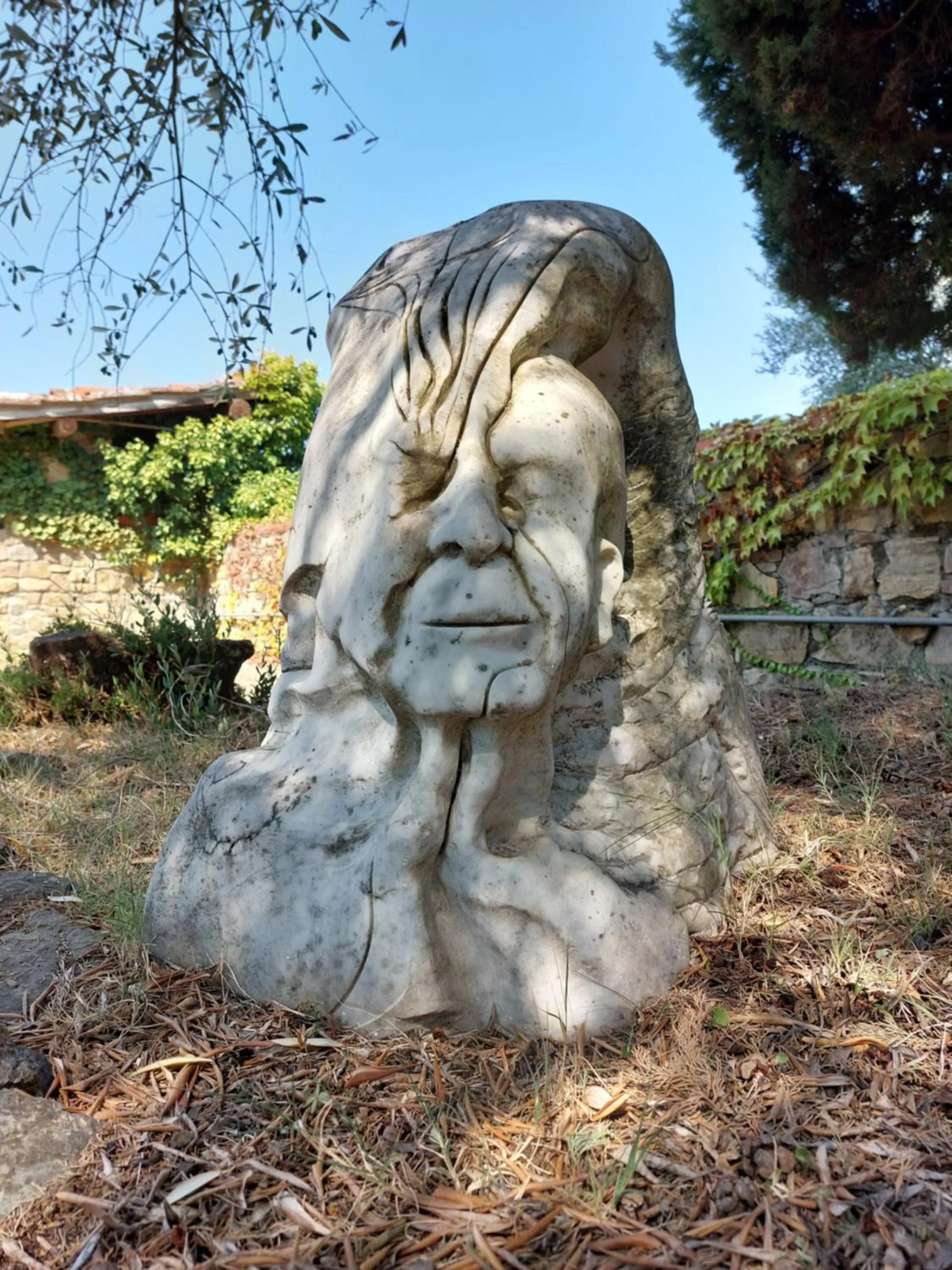 Day in Fattoria Il Milione Agriturismo