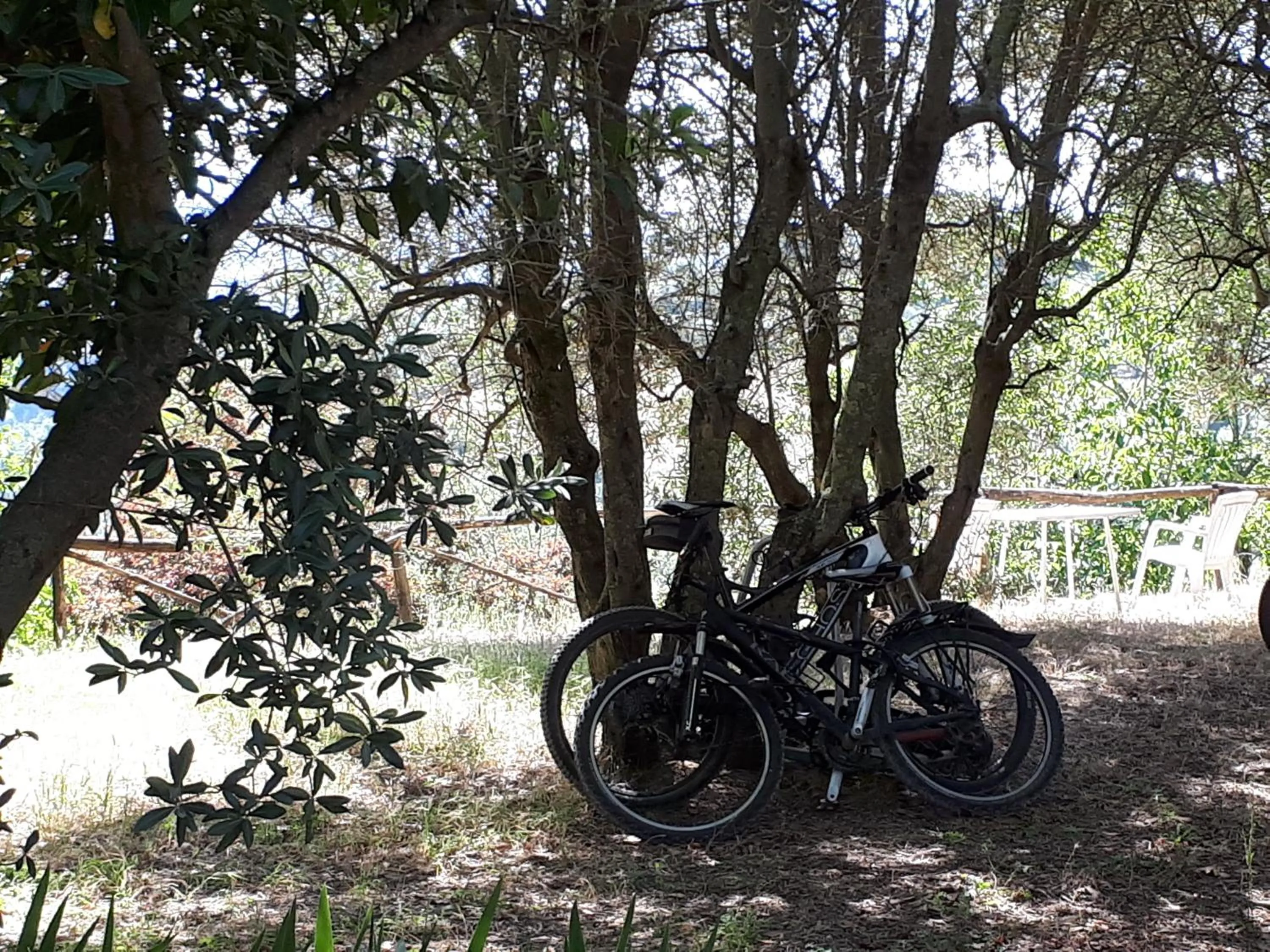 Other in Fattoria Il Milione Agriturismo