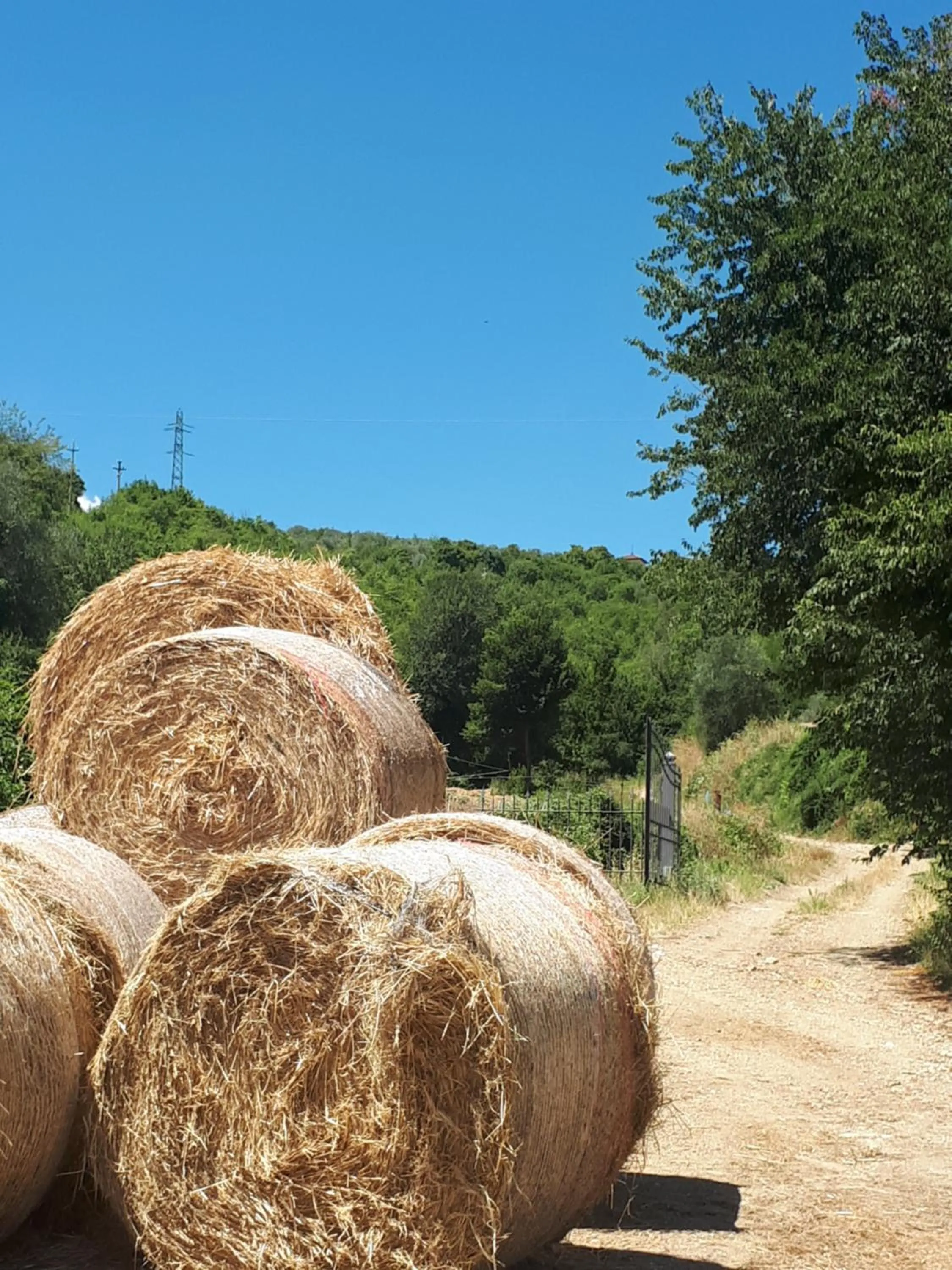 Area and facilities in Fattoria Il Milione Agriturismo