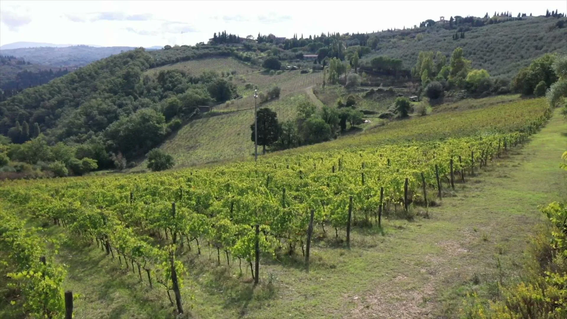 Day in Fattoria Il Milione Agriturismo