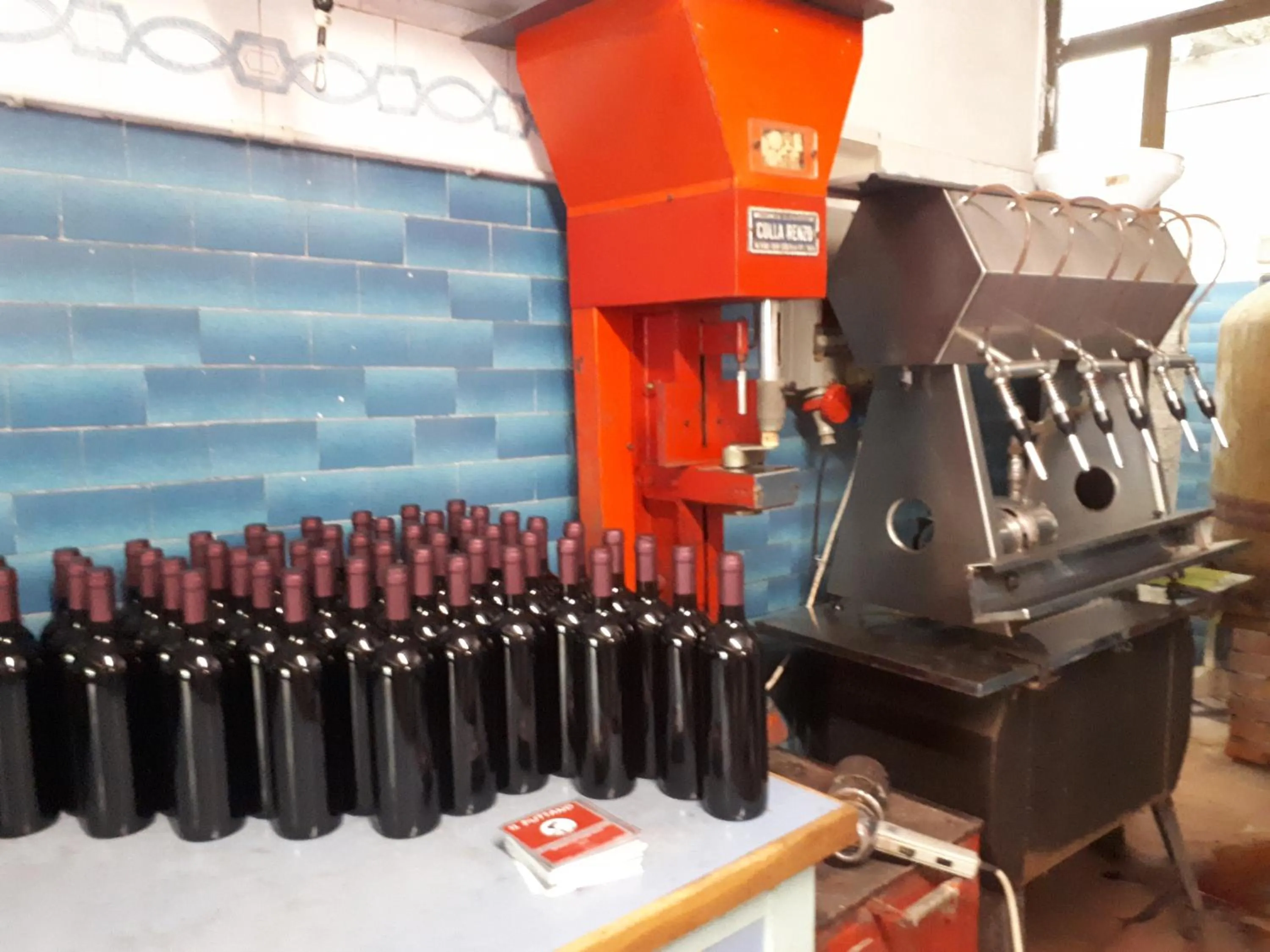 Garden in Fattoria Il Milione Agriturismo