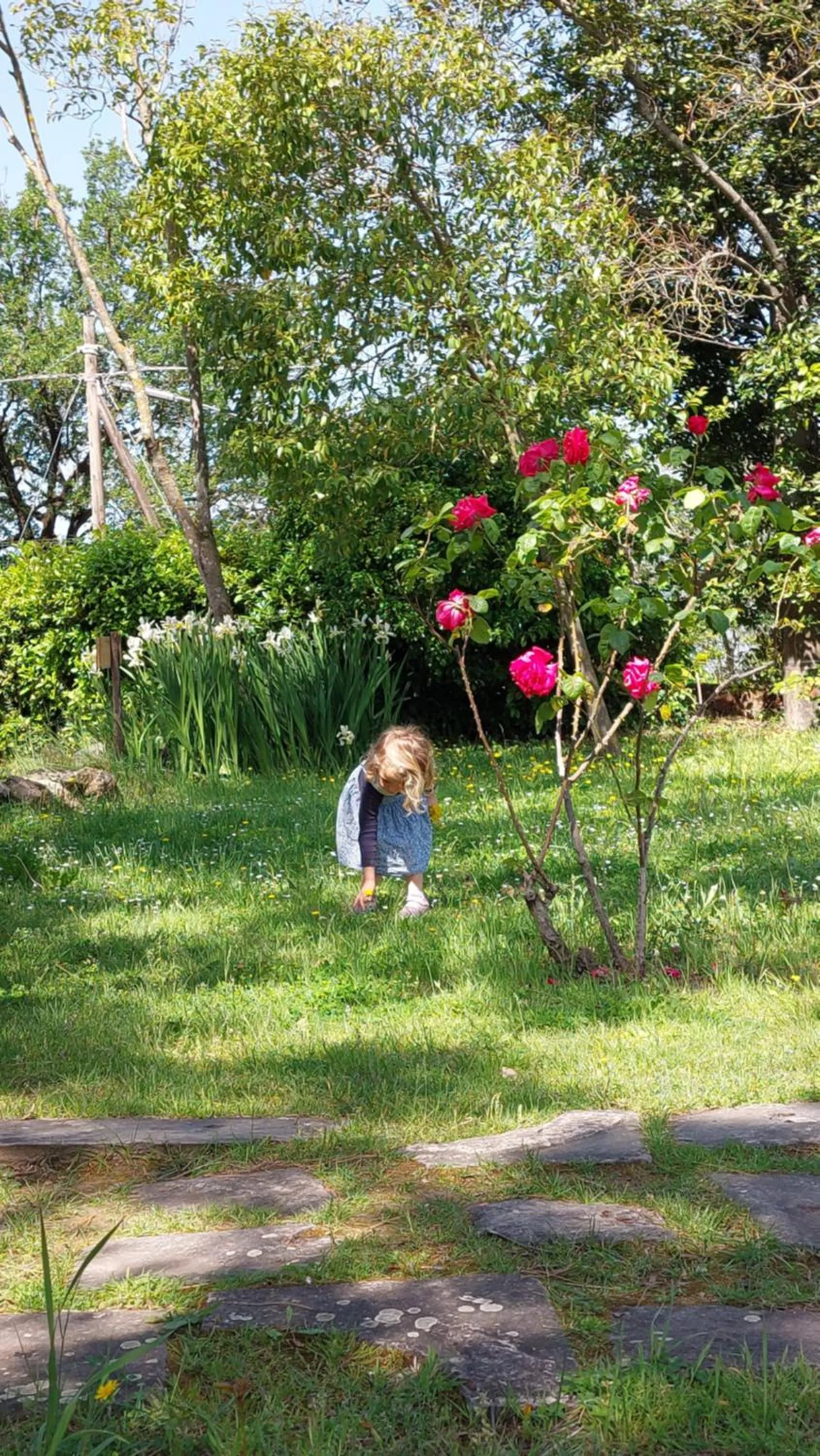 Day in Fattoria Il Milione Agriturismo