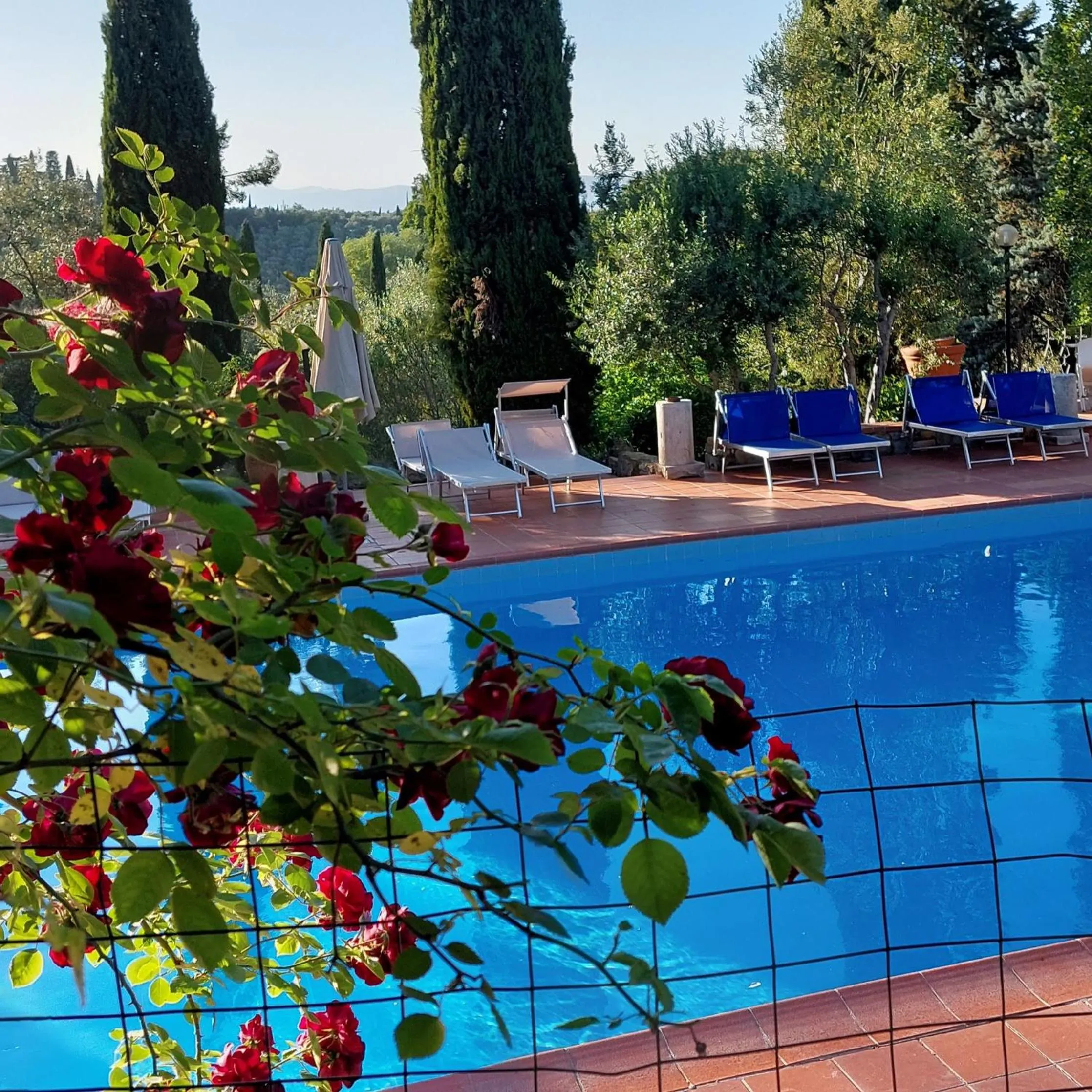 Swimming pool in Fattoria Il Milione Agriturismo