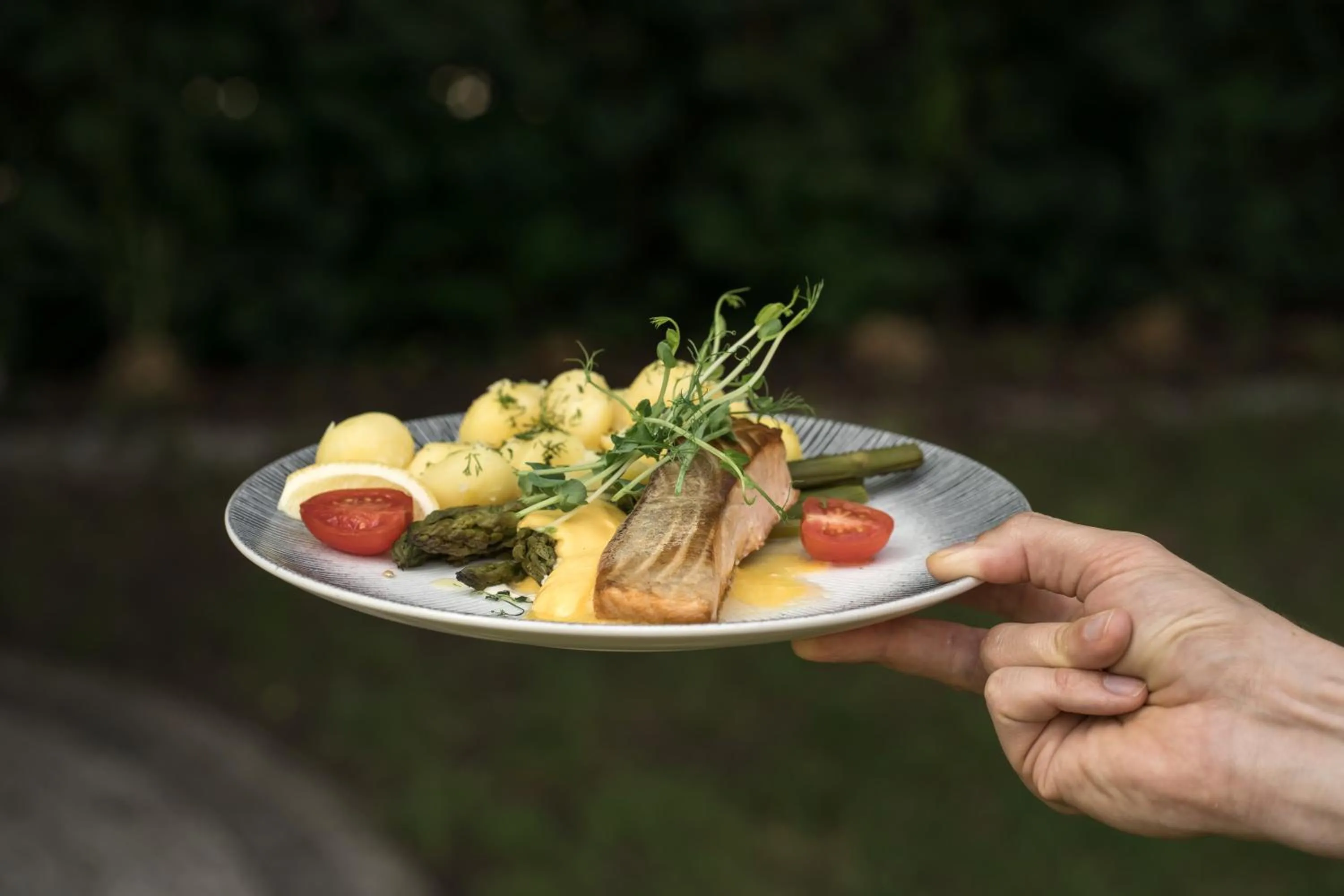 Lunch in HOTEL I RESTAURACJA BROCHÓW