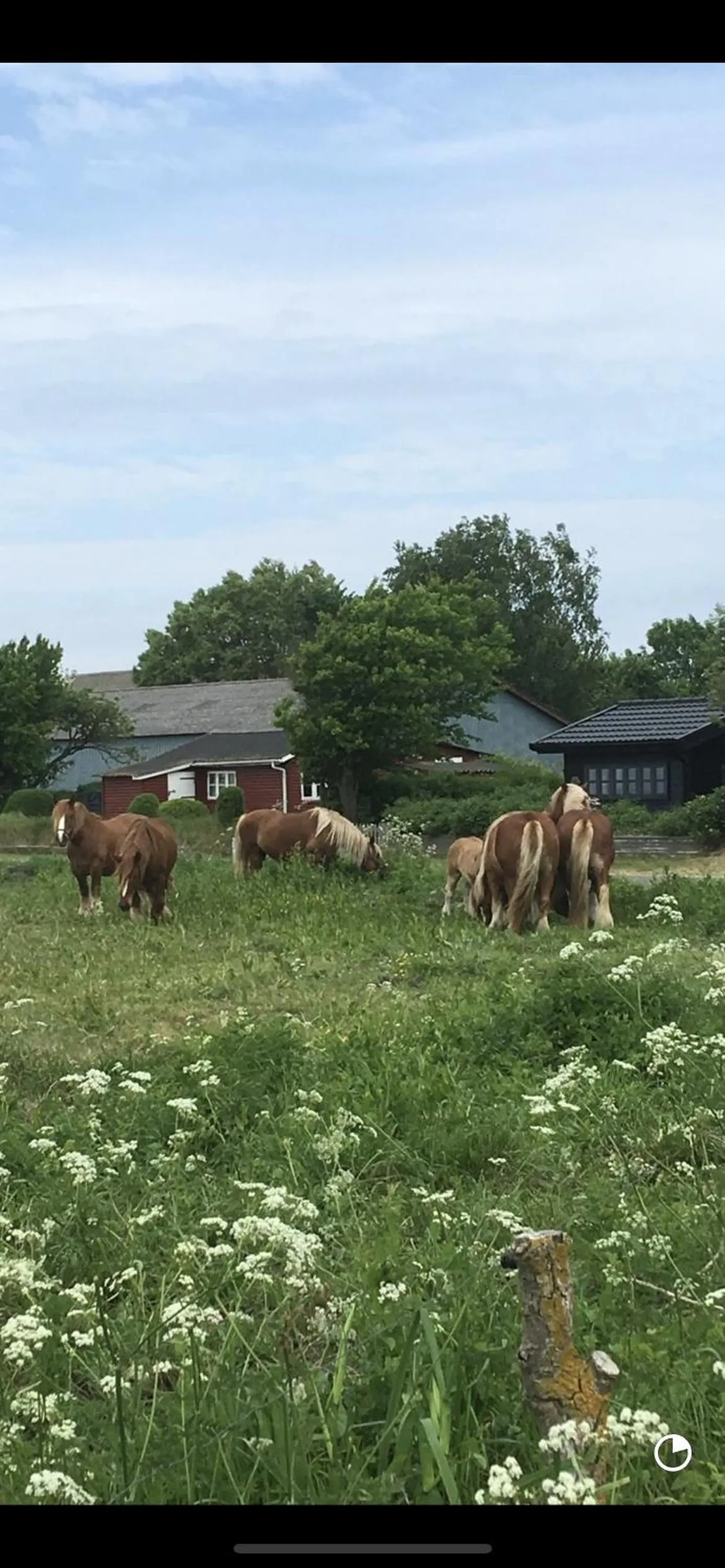 Skorstensfejerens Bed & Breakfast