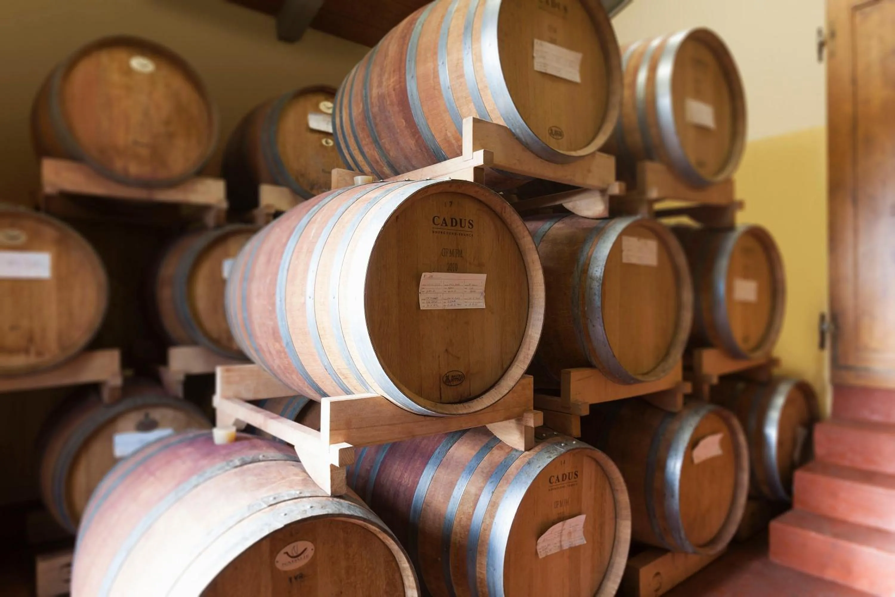 Activities in Relais Poggio Borgoni