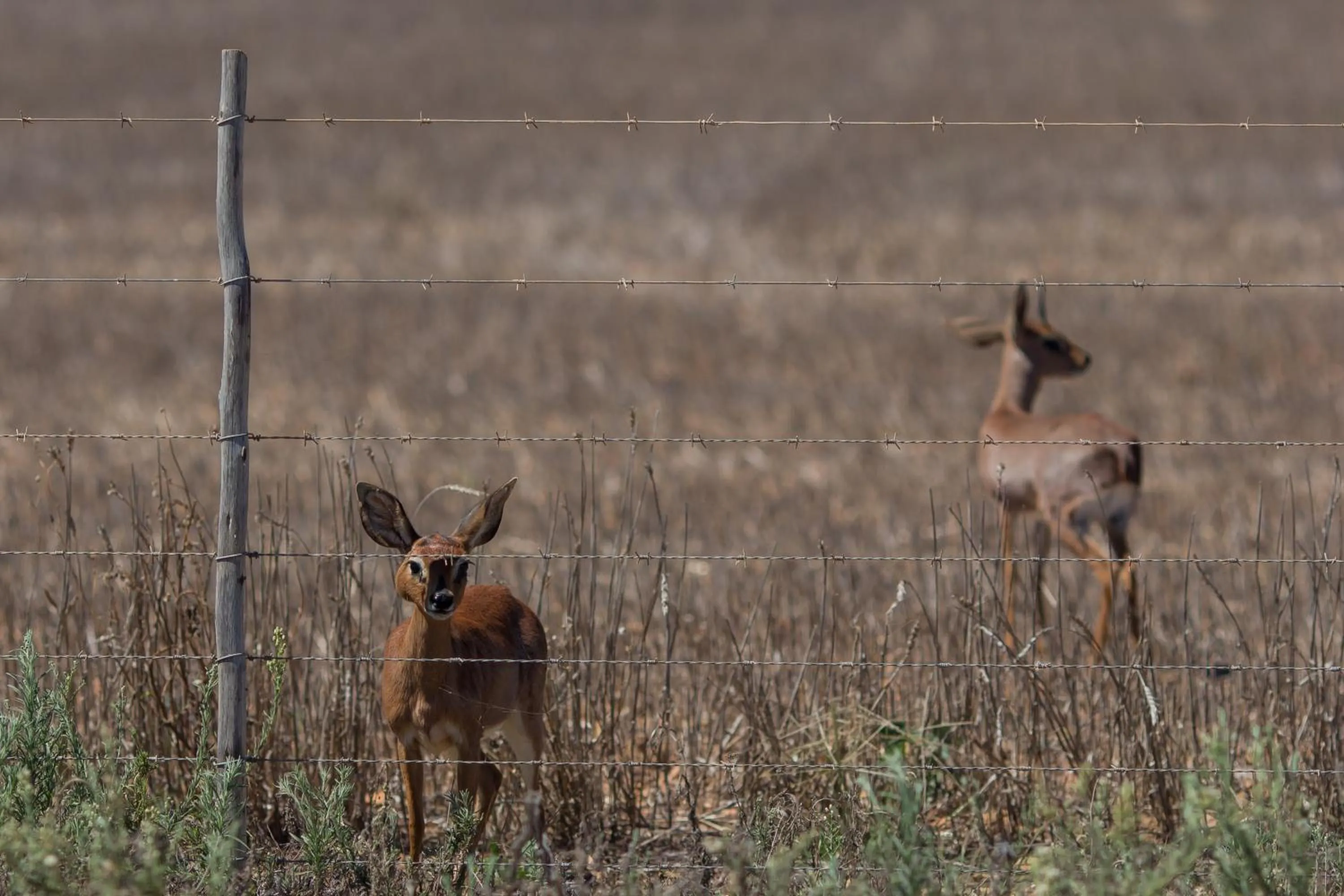 Natural landscape in Malagas Hotel
