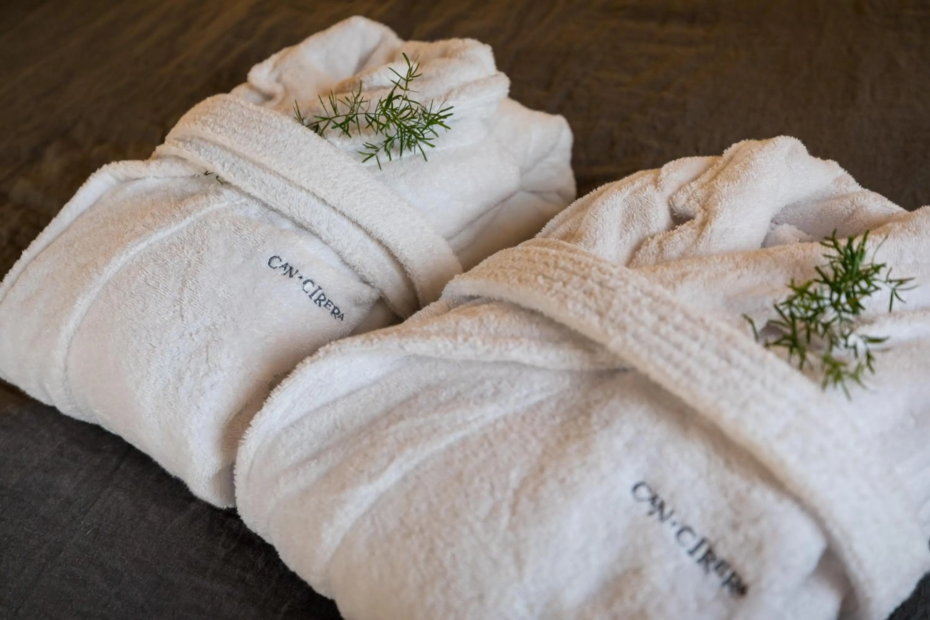 Property logo or sign in Hotel Can Cirera