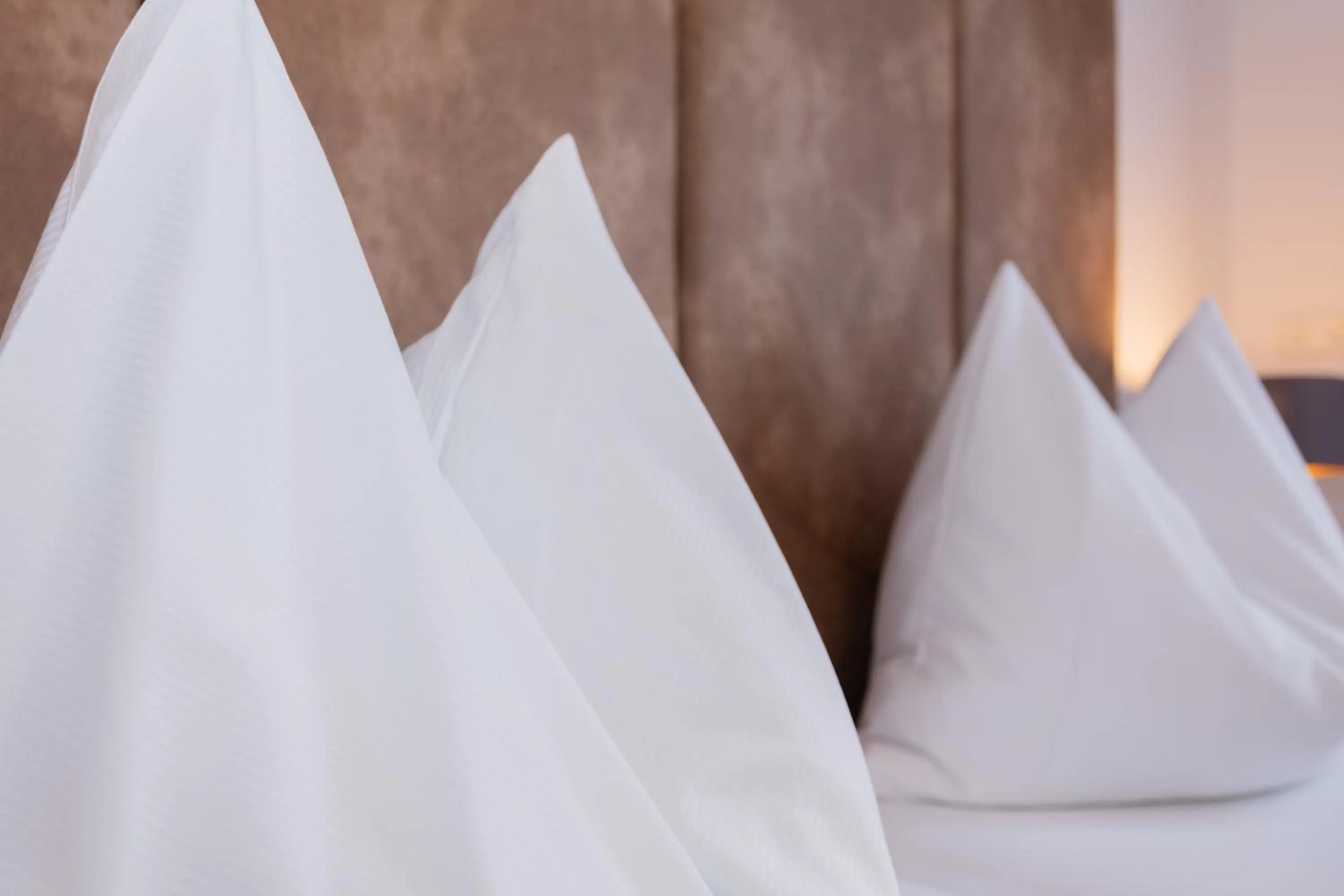 Schmittental Pension Self-Check-In