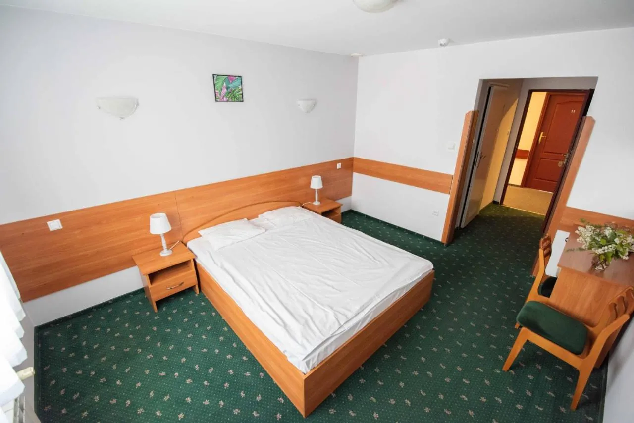 Double or Twin Room - single occupancy in Hotel Miastova