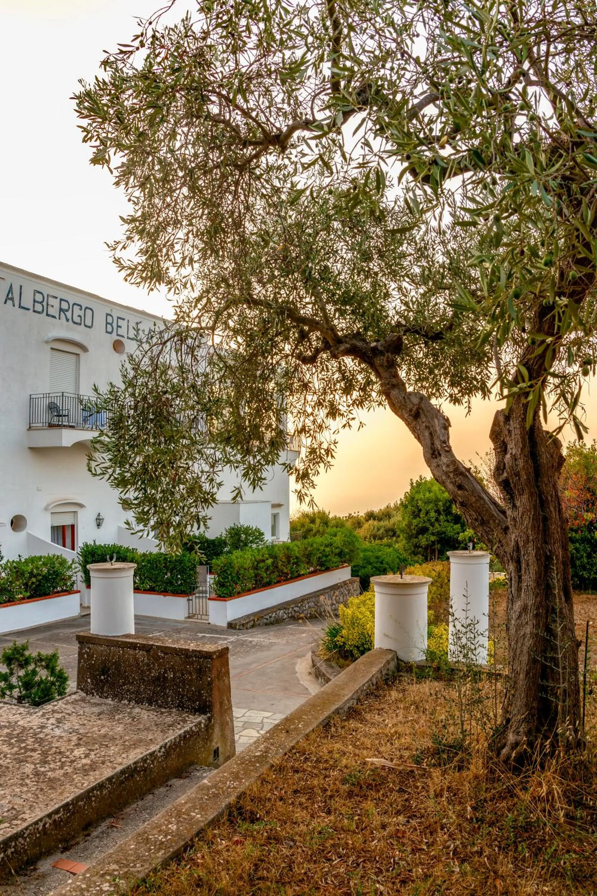 Property building in Hotel Bellavista