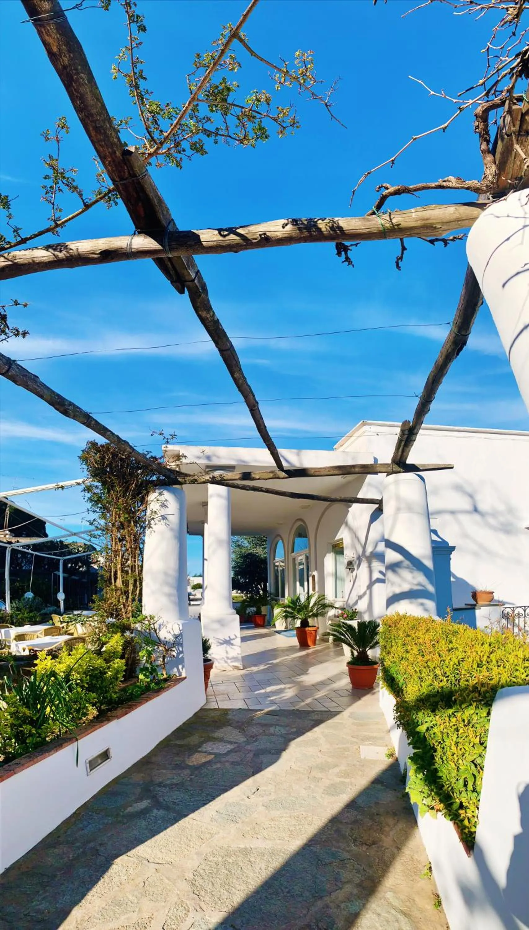 Facade/entrance in Hotel Bellavista