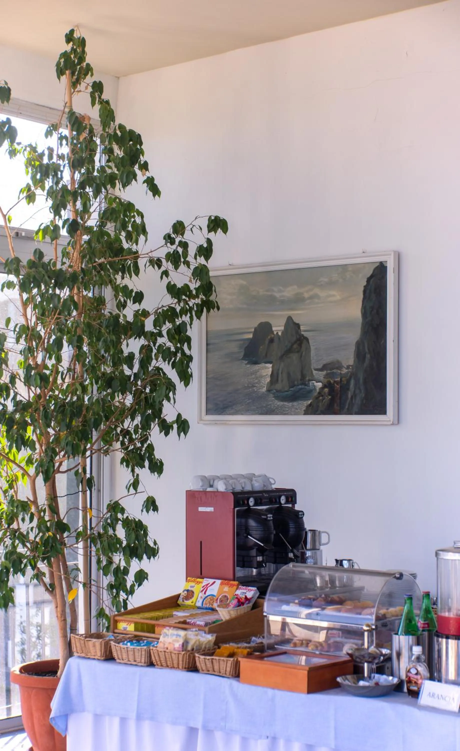 Food and drinks in Hotel Bellavista