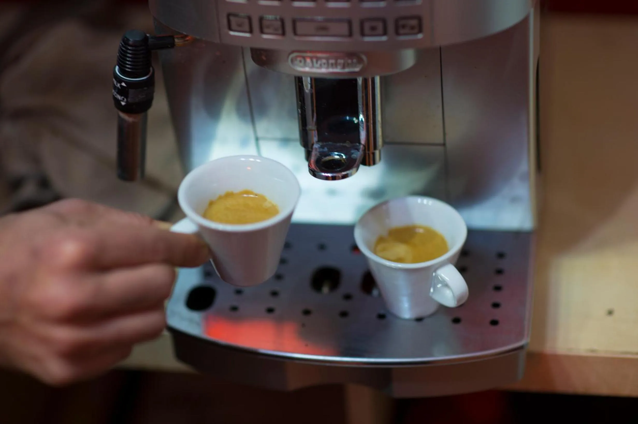 Lounge or bar in Hostel of the Sun