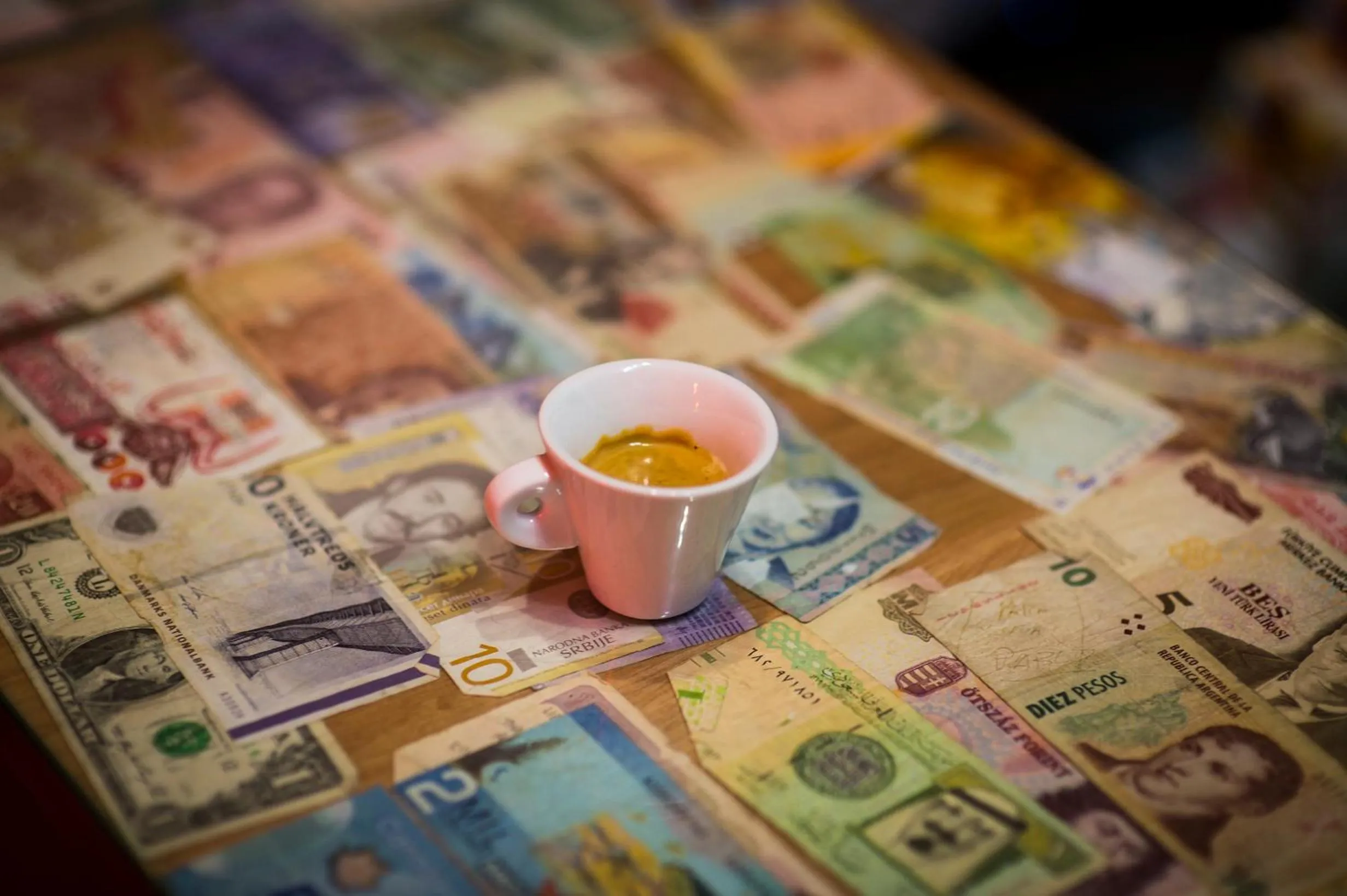 Lounge or bar in Hostel of the Sun