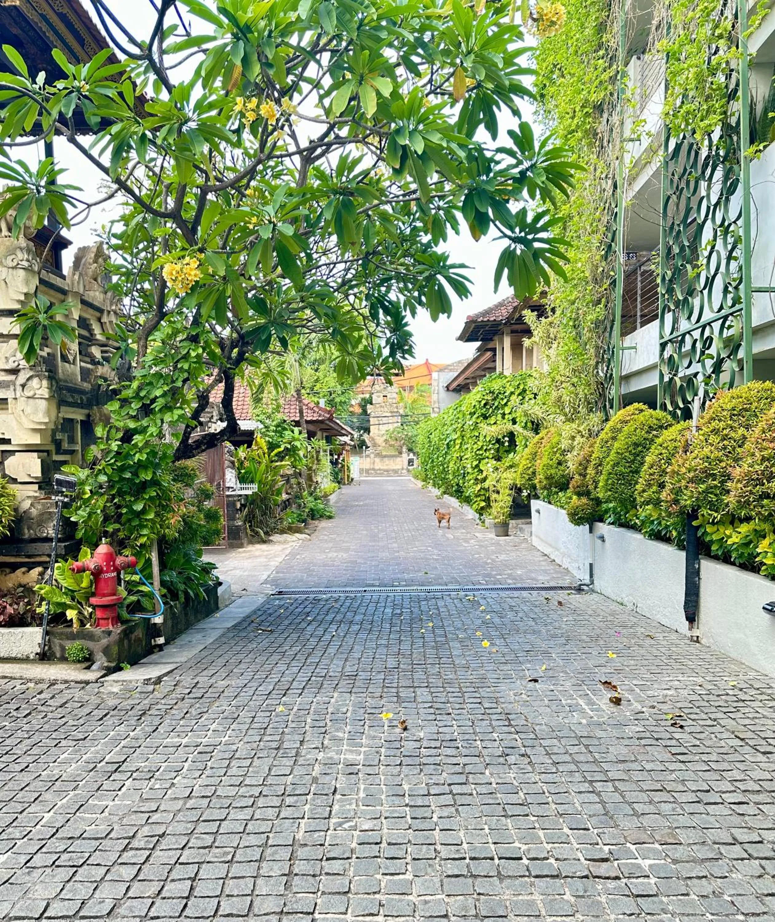 Property building in Ion Bali Benoa