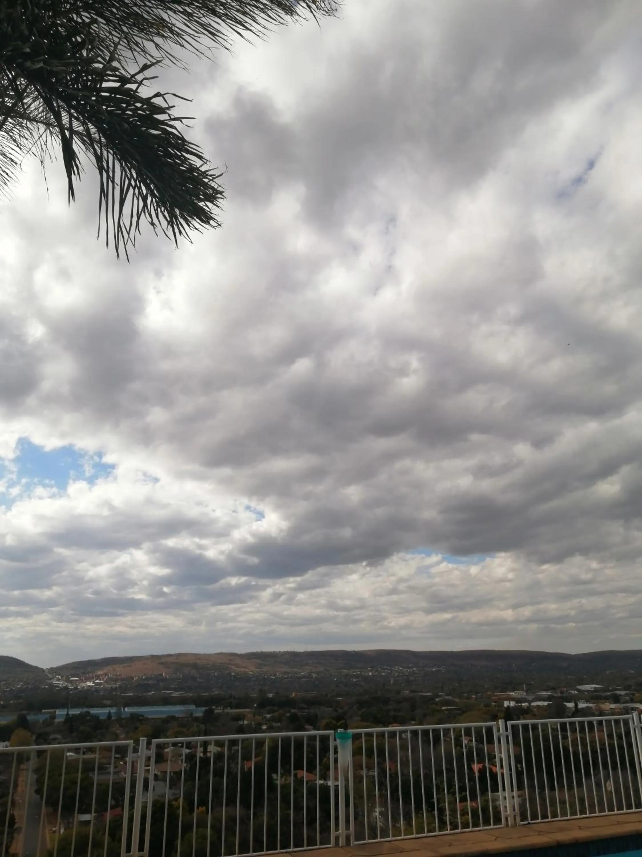 Natural landscape in Palm View Guest House