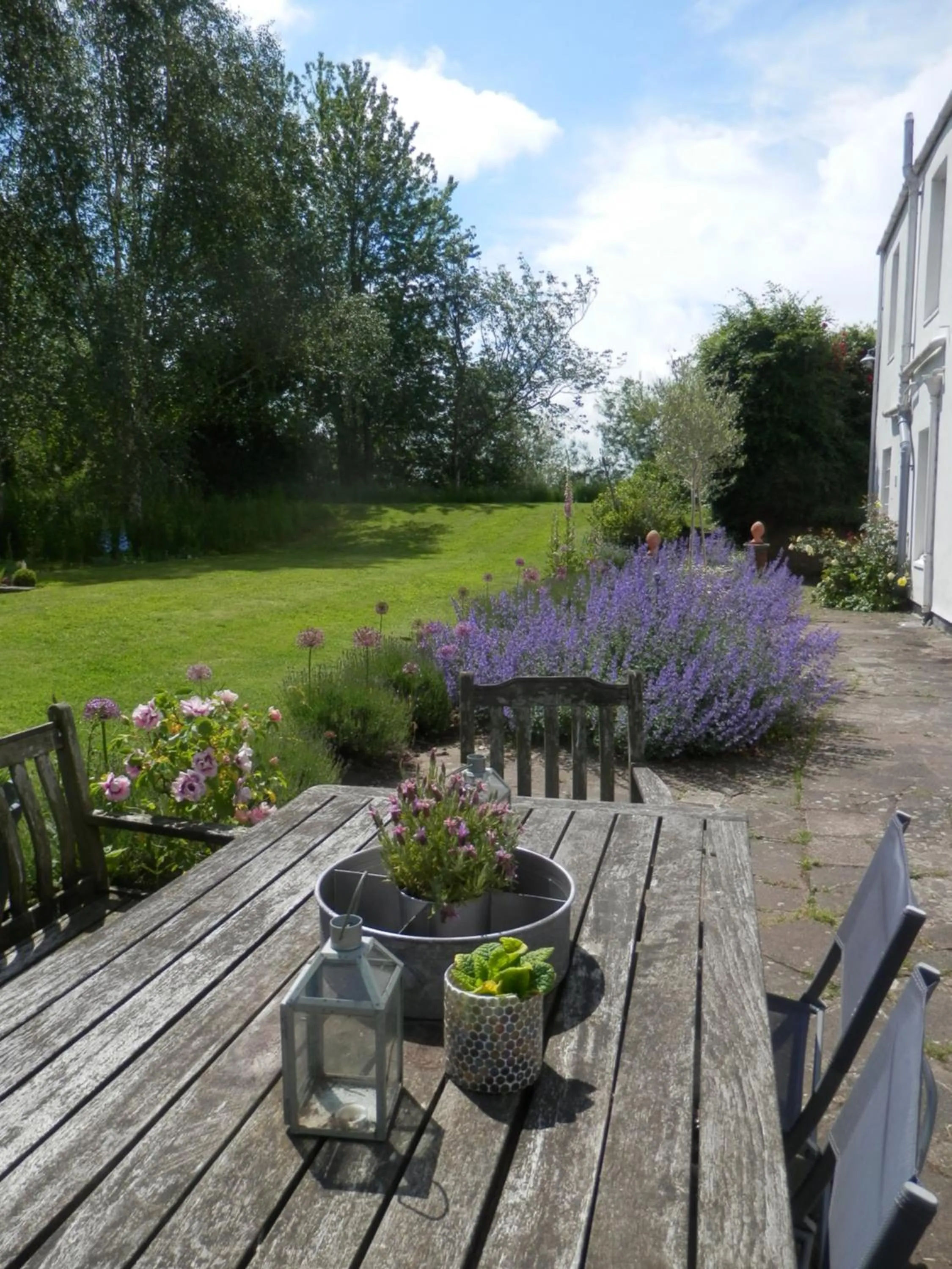 Garden in The Naight House