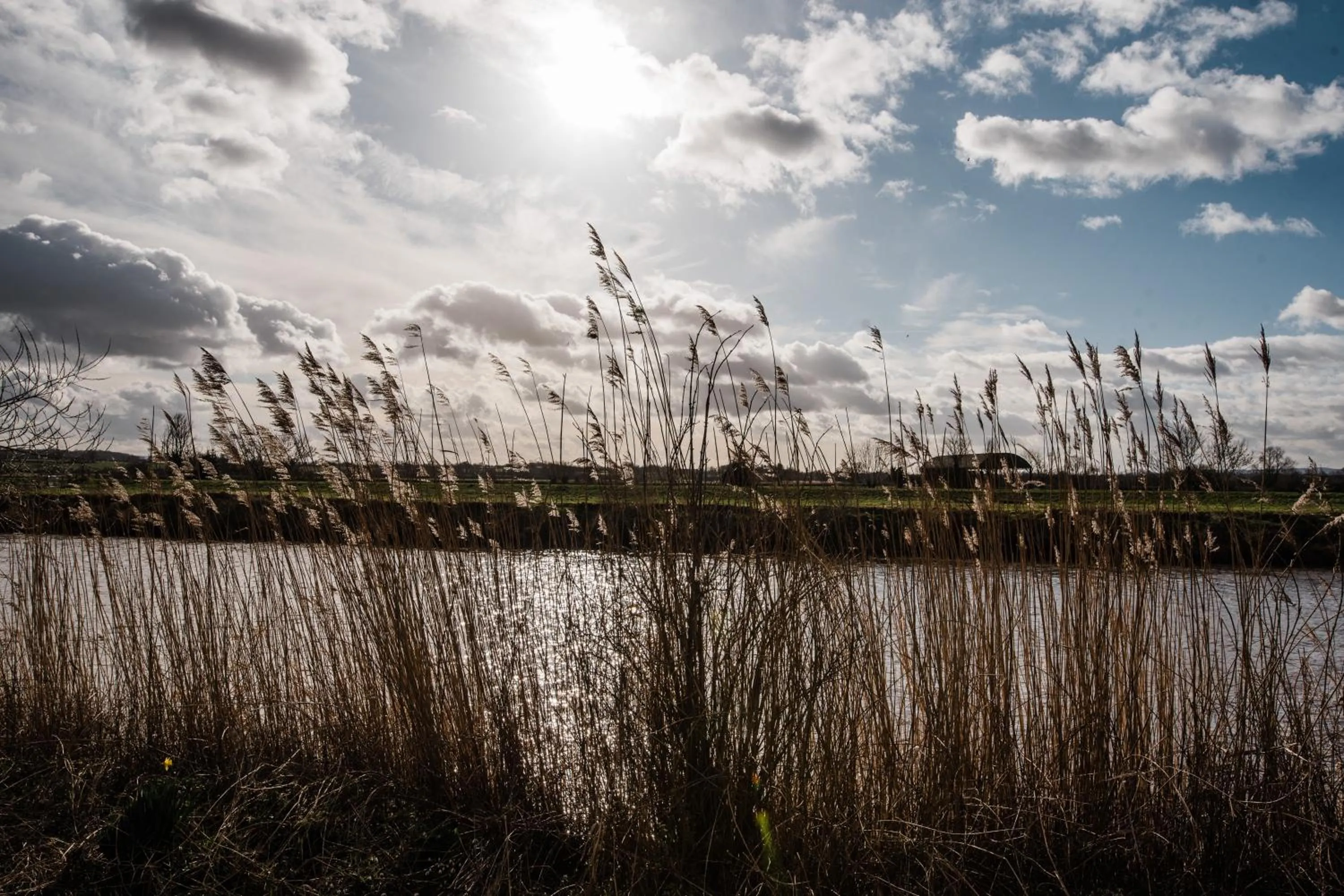 Natural landscape in The Naight House