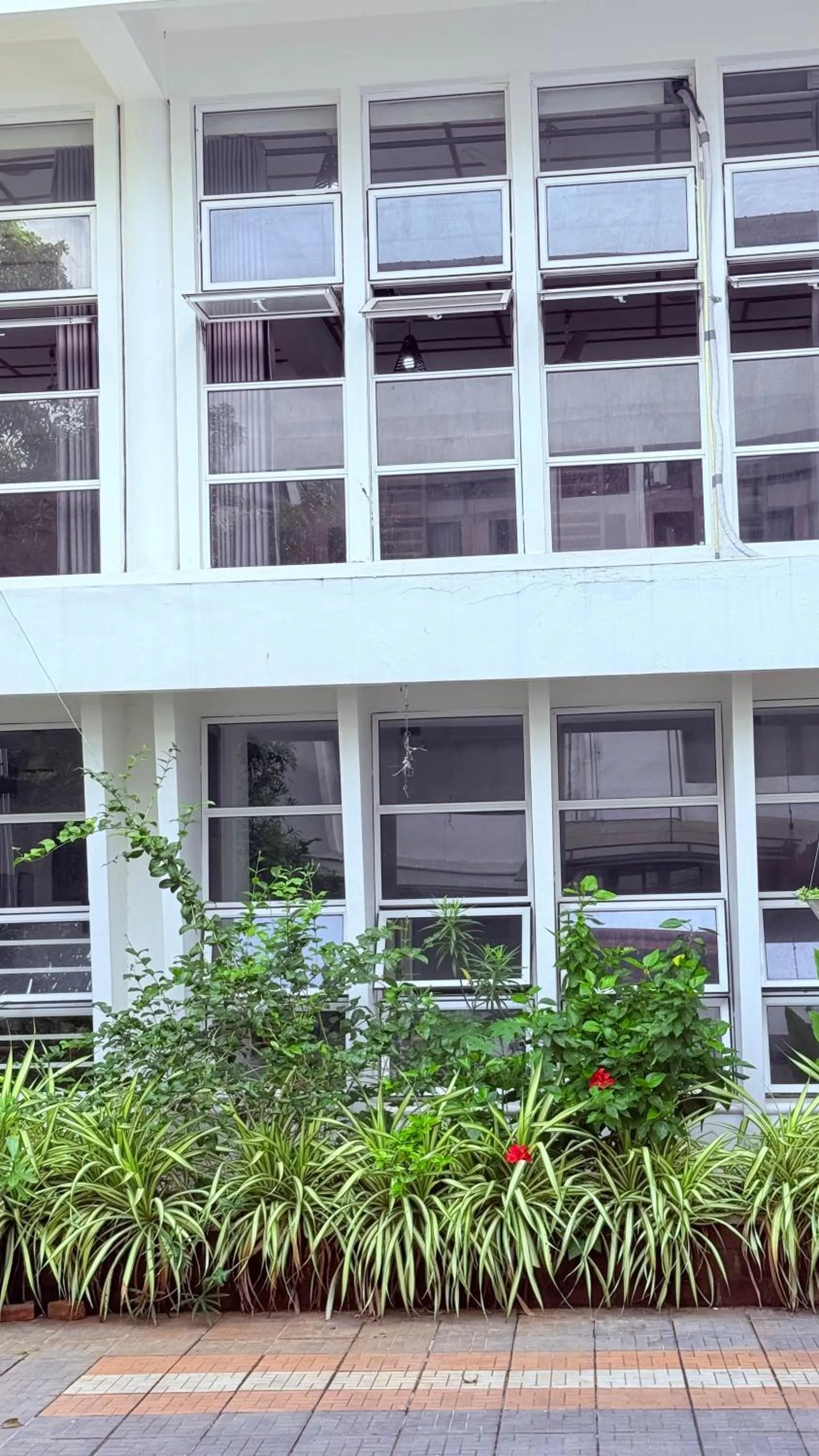 Property building in Subhas Tourist Hotel