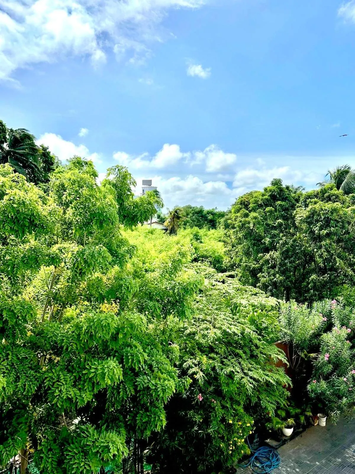 Day in Subhas Tourist Hotel