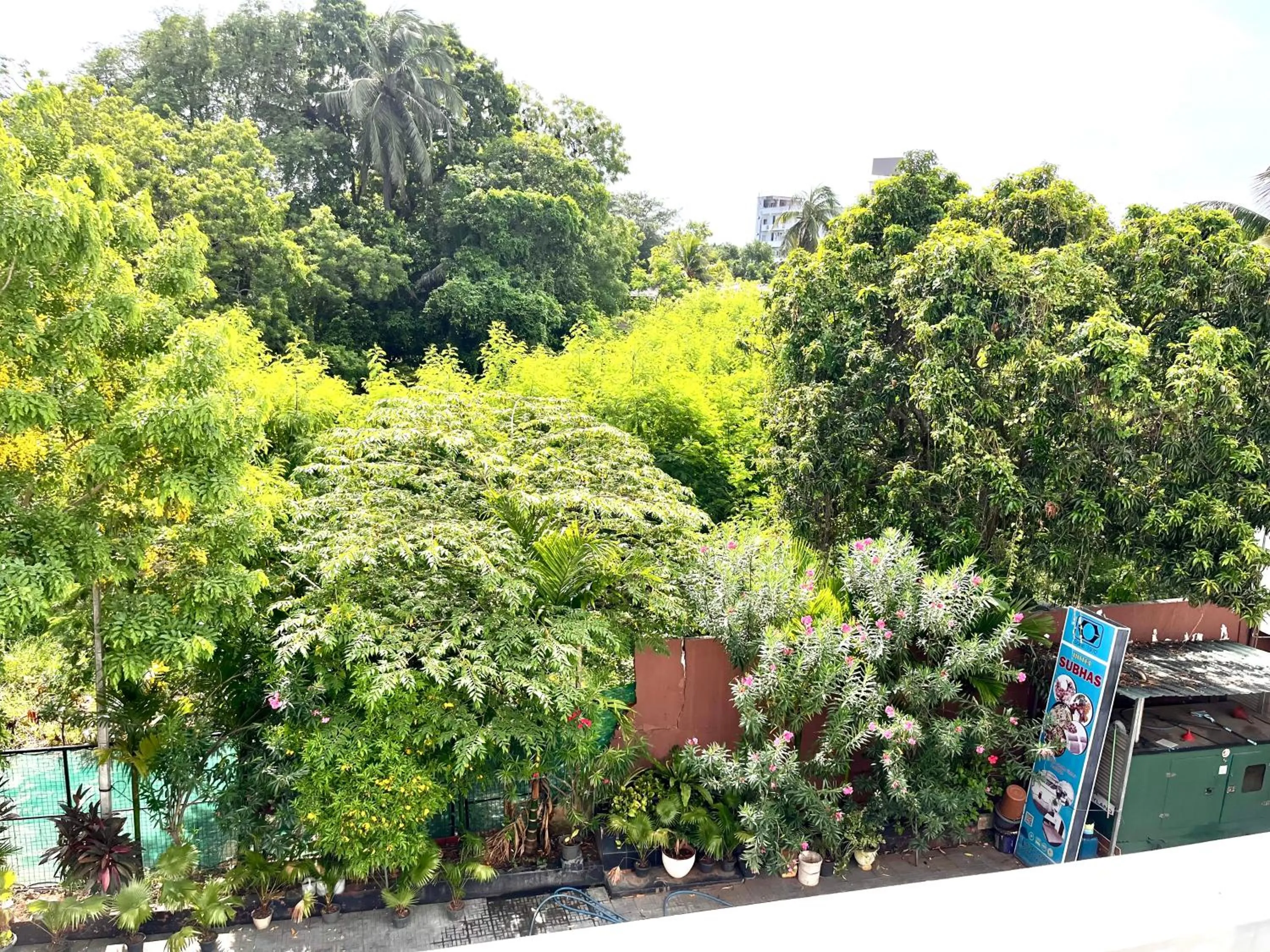 Day in Subhas Tourist Hotel