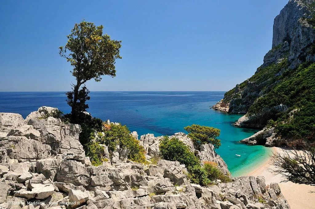 Horse-riding in Hotel Arbatasar