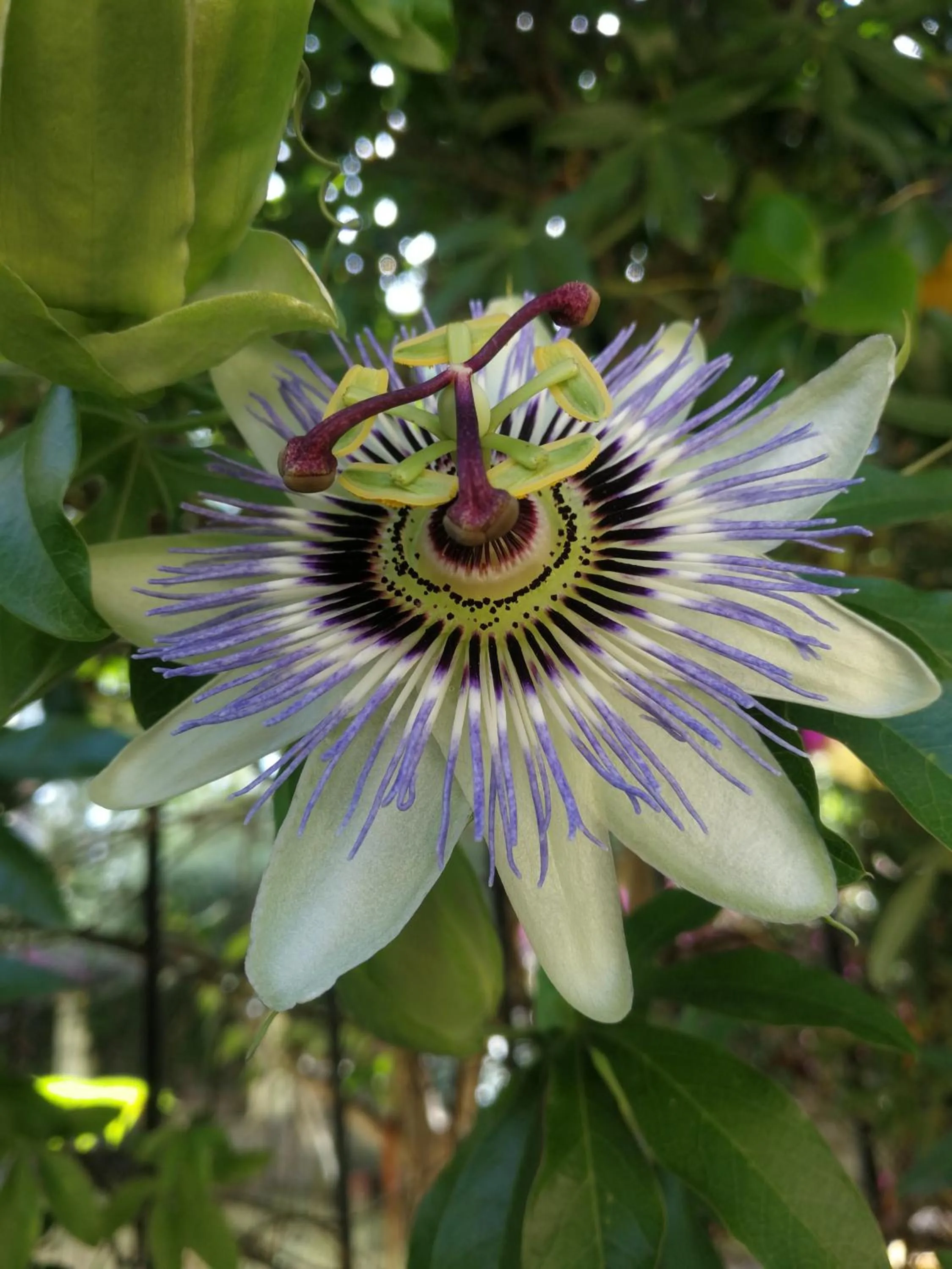 Natural landscape in Hotel Arbatasar