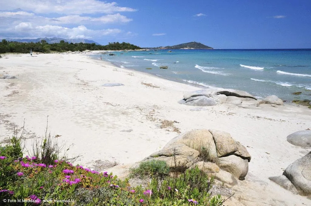 Beach in Hotel Arbatasar