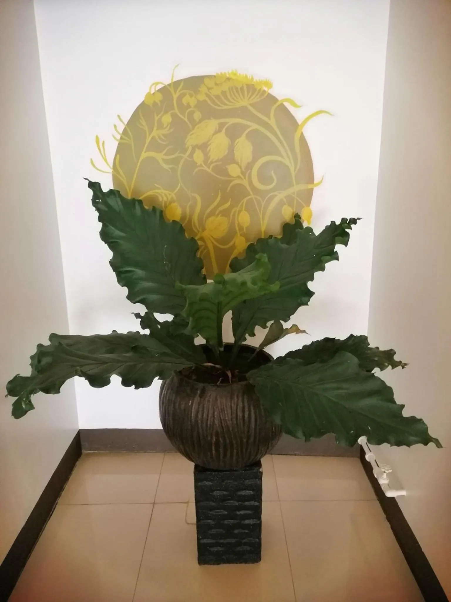 Other in AMARANTA SUITES