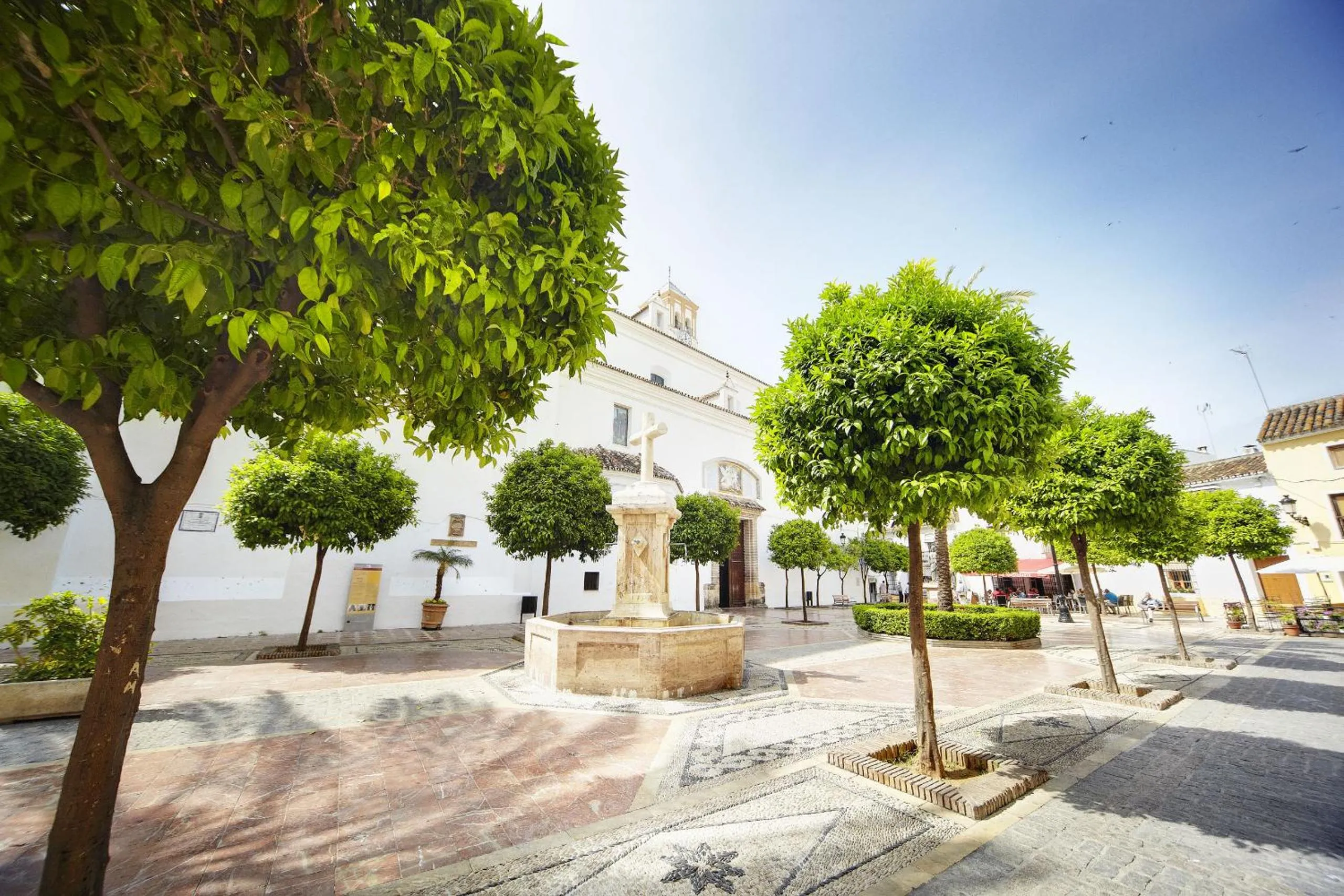 Activities in Aqua Apartments Bellamar, Marbella