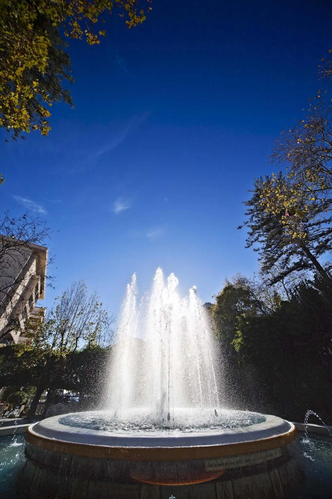 Other in Aqua Apartments Bellamar, Marbella