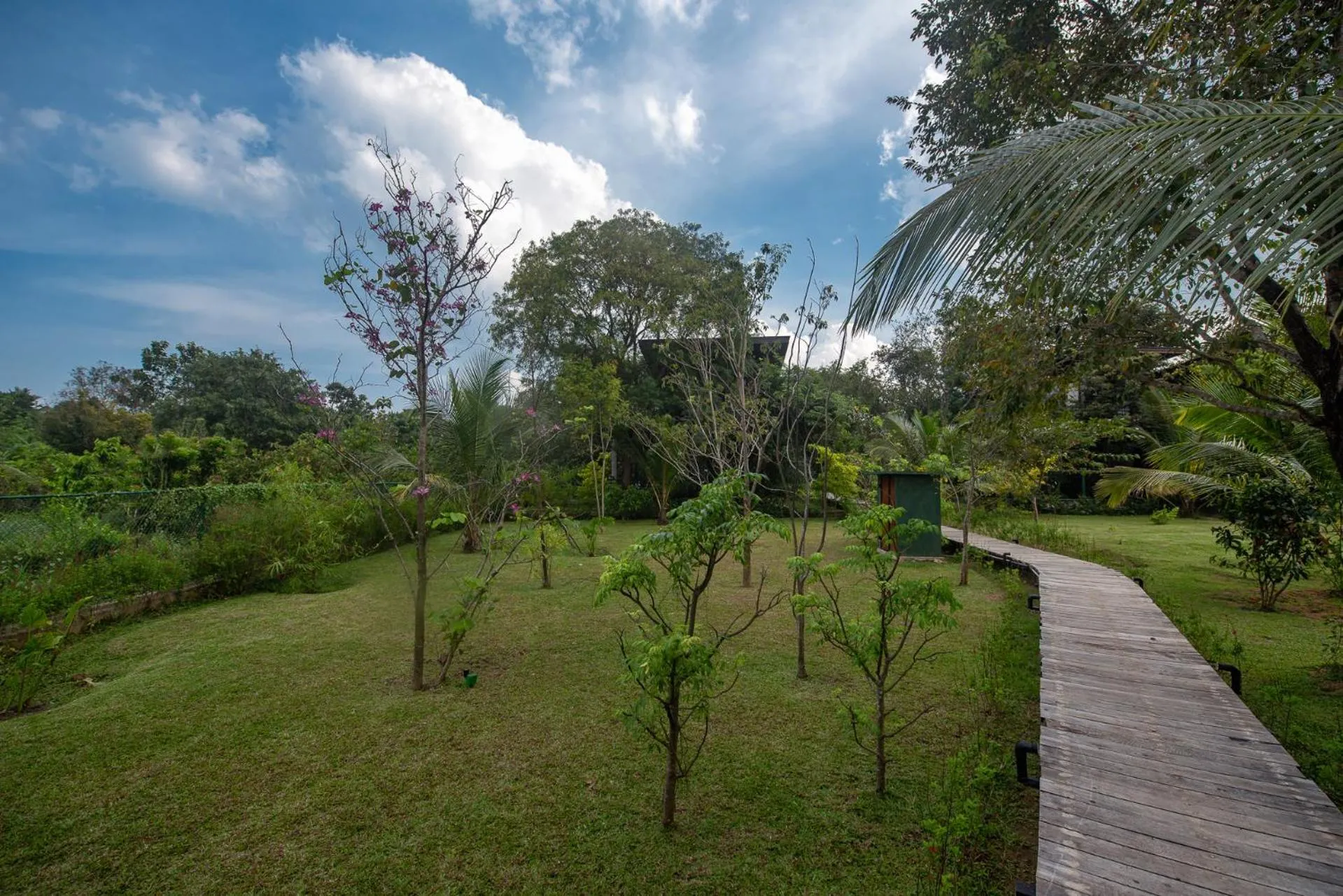 Garden in Atha Resort