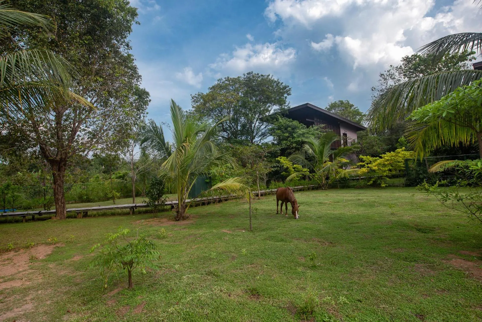 Garden in Atha Resort