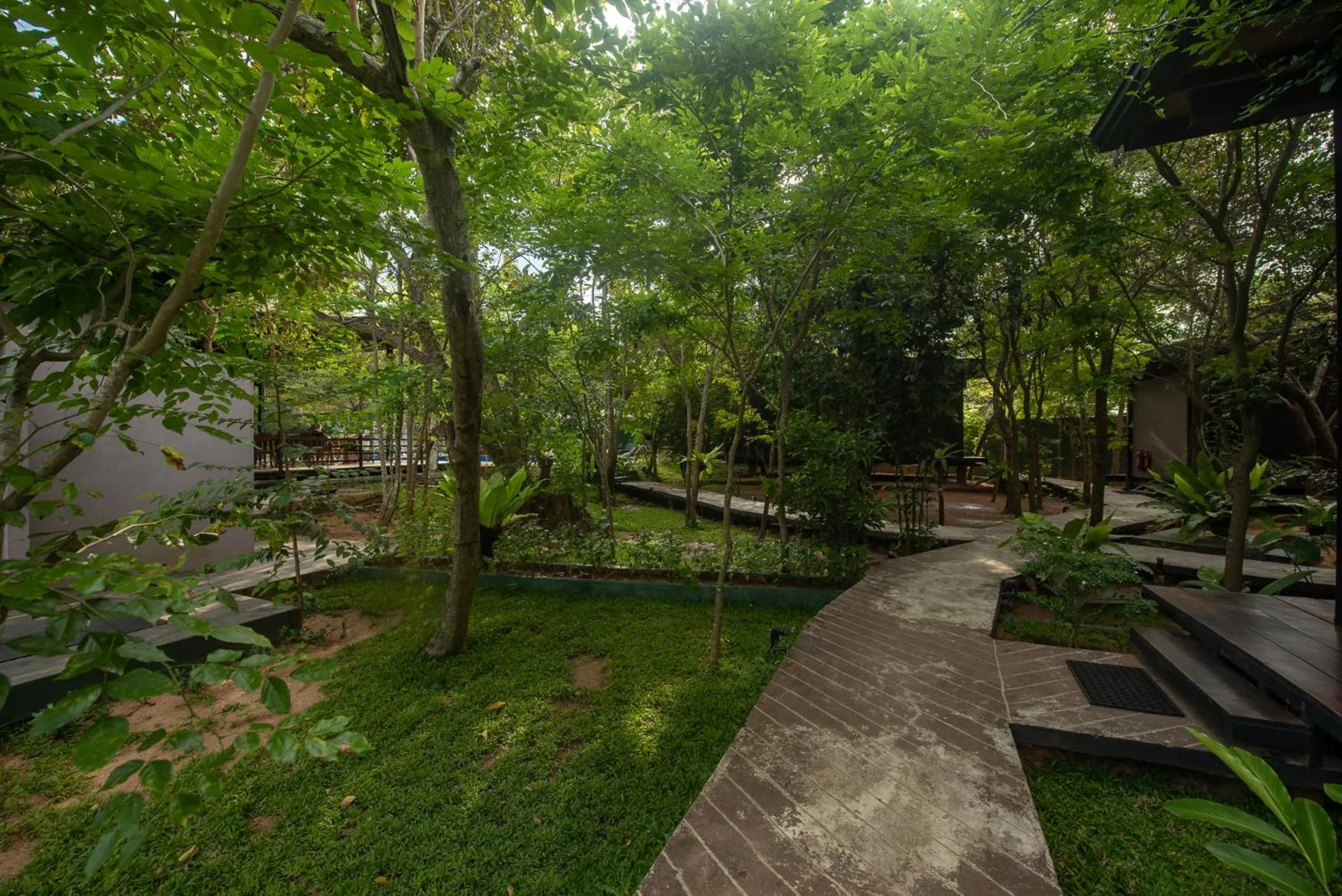 Natural landscape in Atha Resort