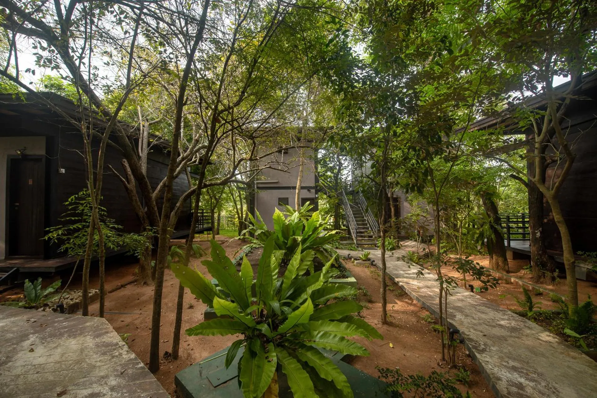 Natural landscape in Atha Resort