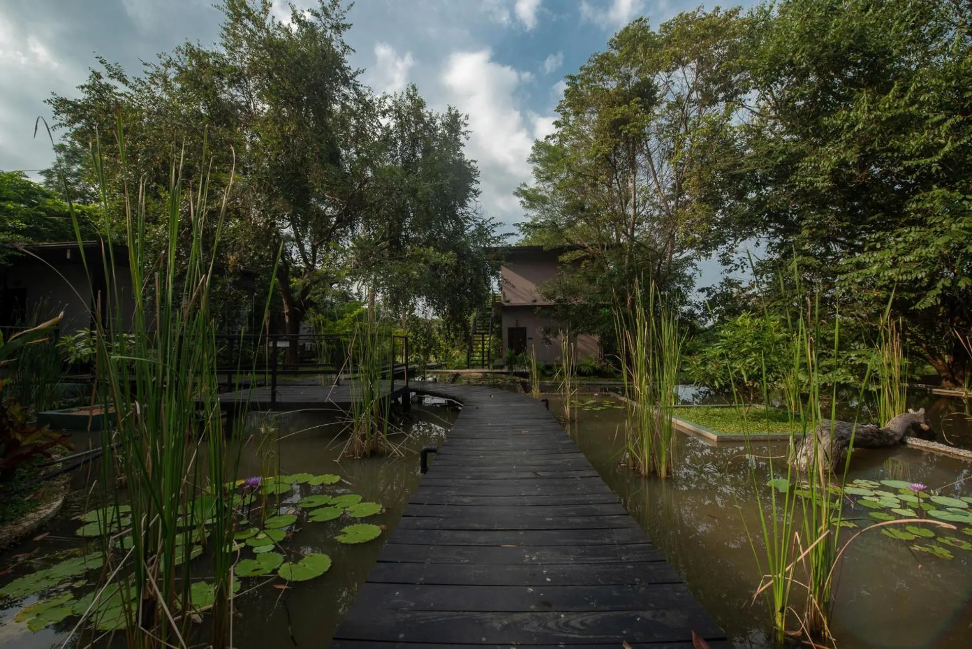 Other in Atha Resort