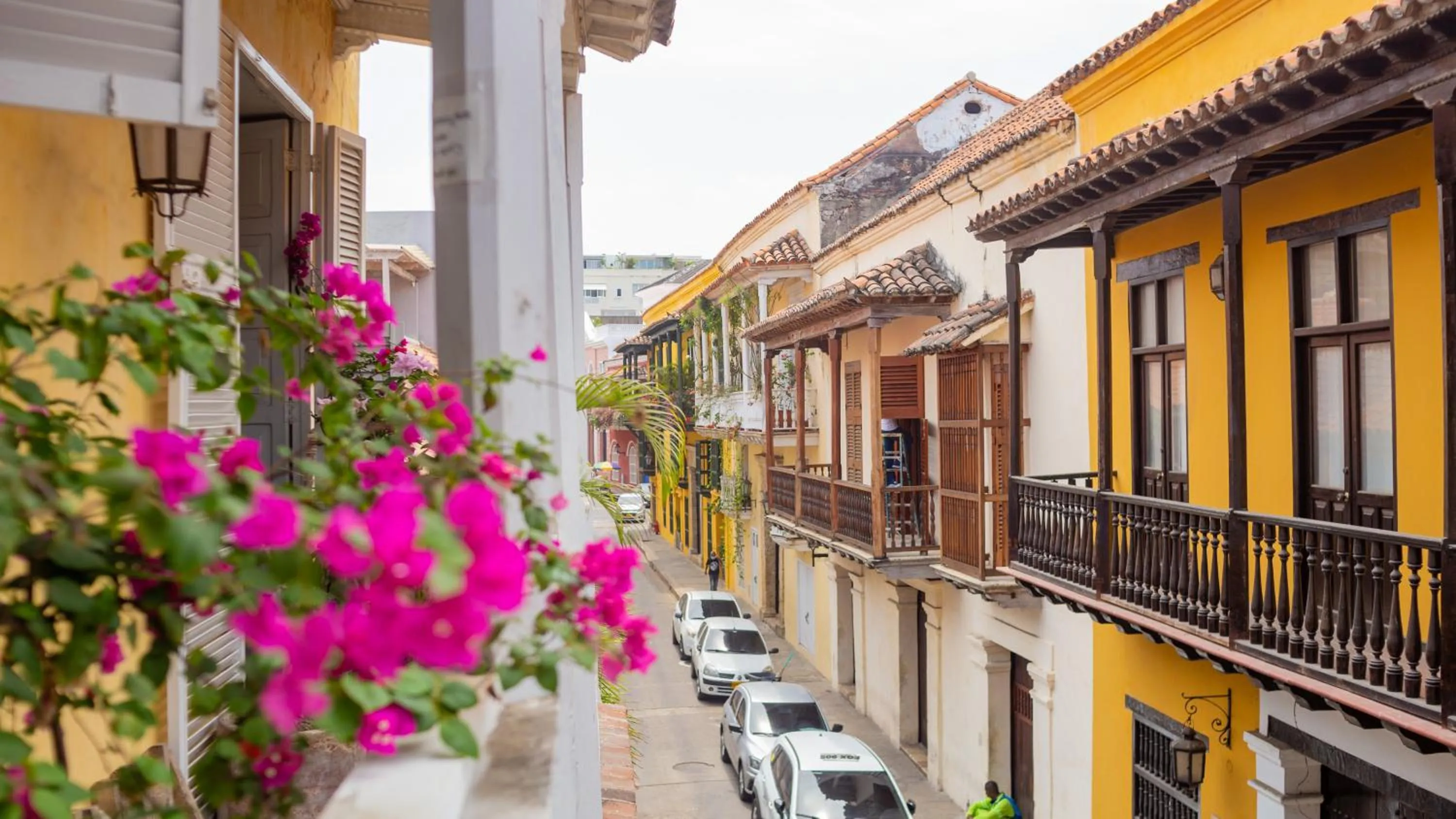 Neighbourhood in Casa Baloco