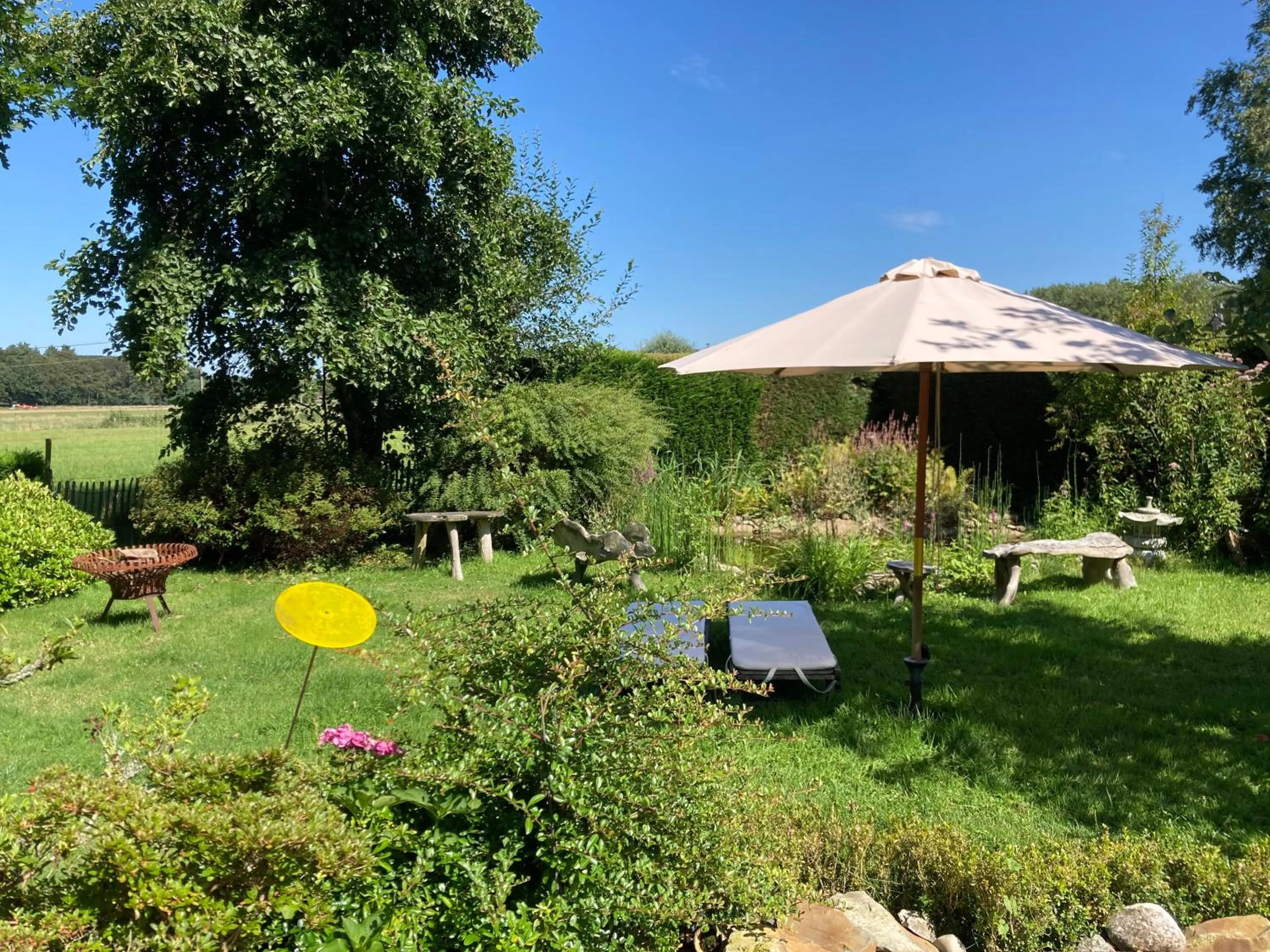 Natural landscape in B&B Koornemoezen