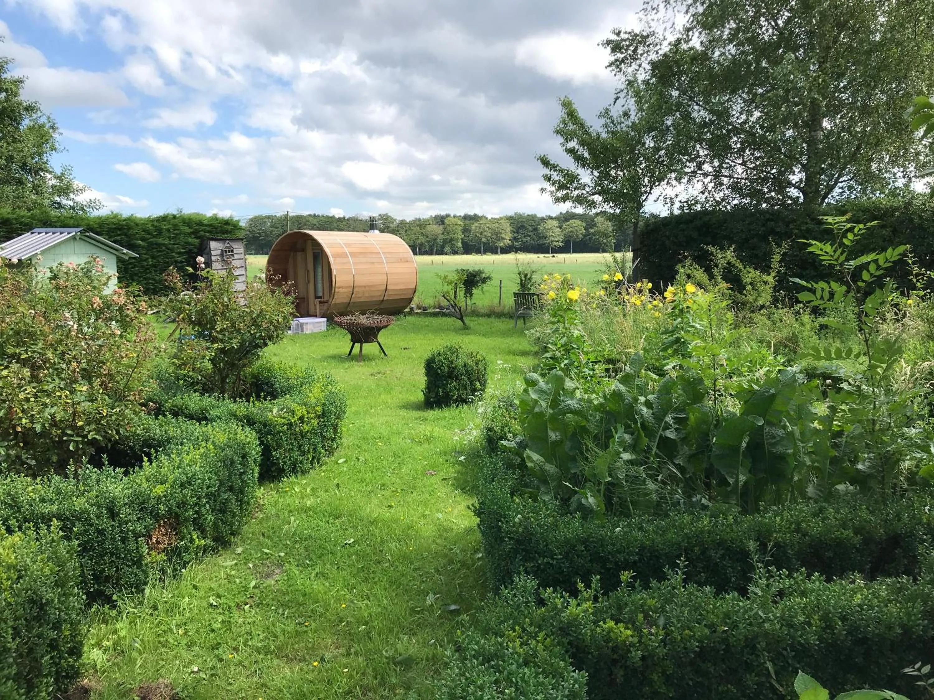 Natural landscape in B&B Koornemoezen
