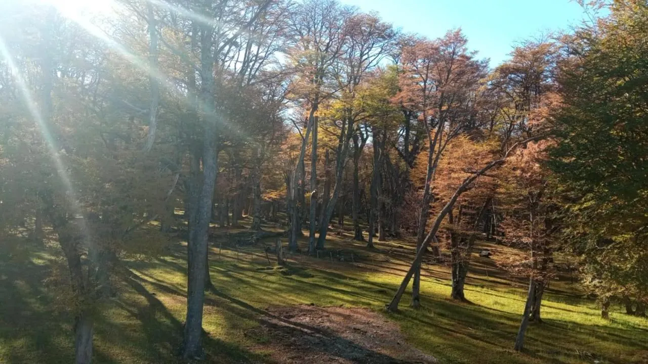 Refugio de Glaciares