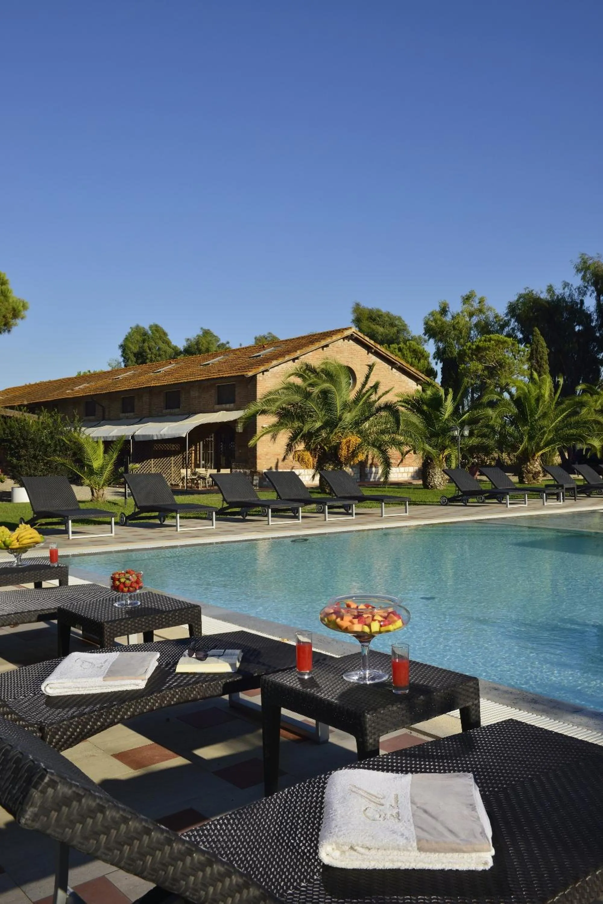 Day in Fattoria San Lorenzo