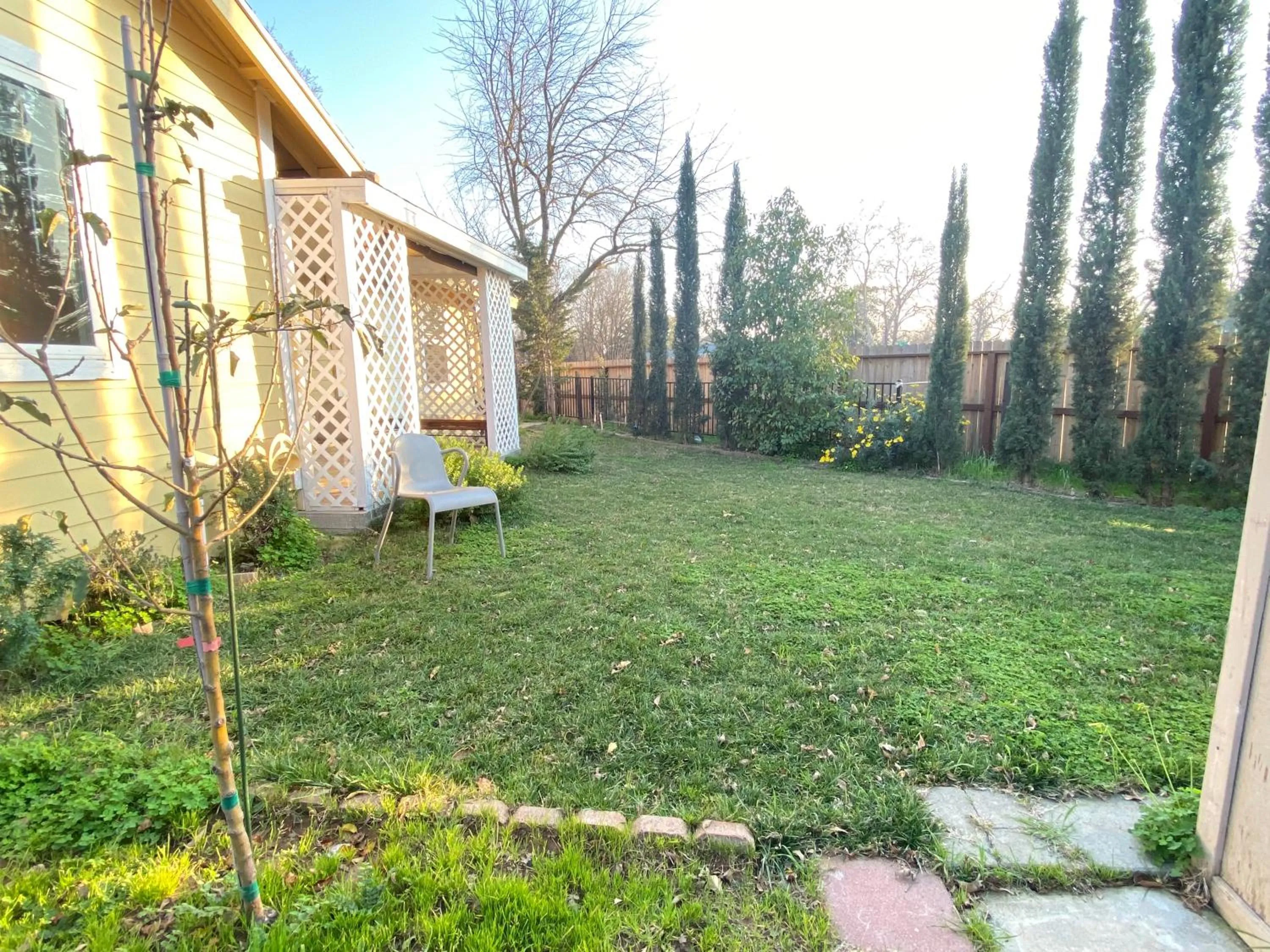 WHOLE Family - Wholestyl