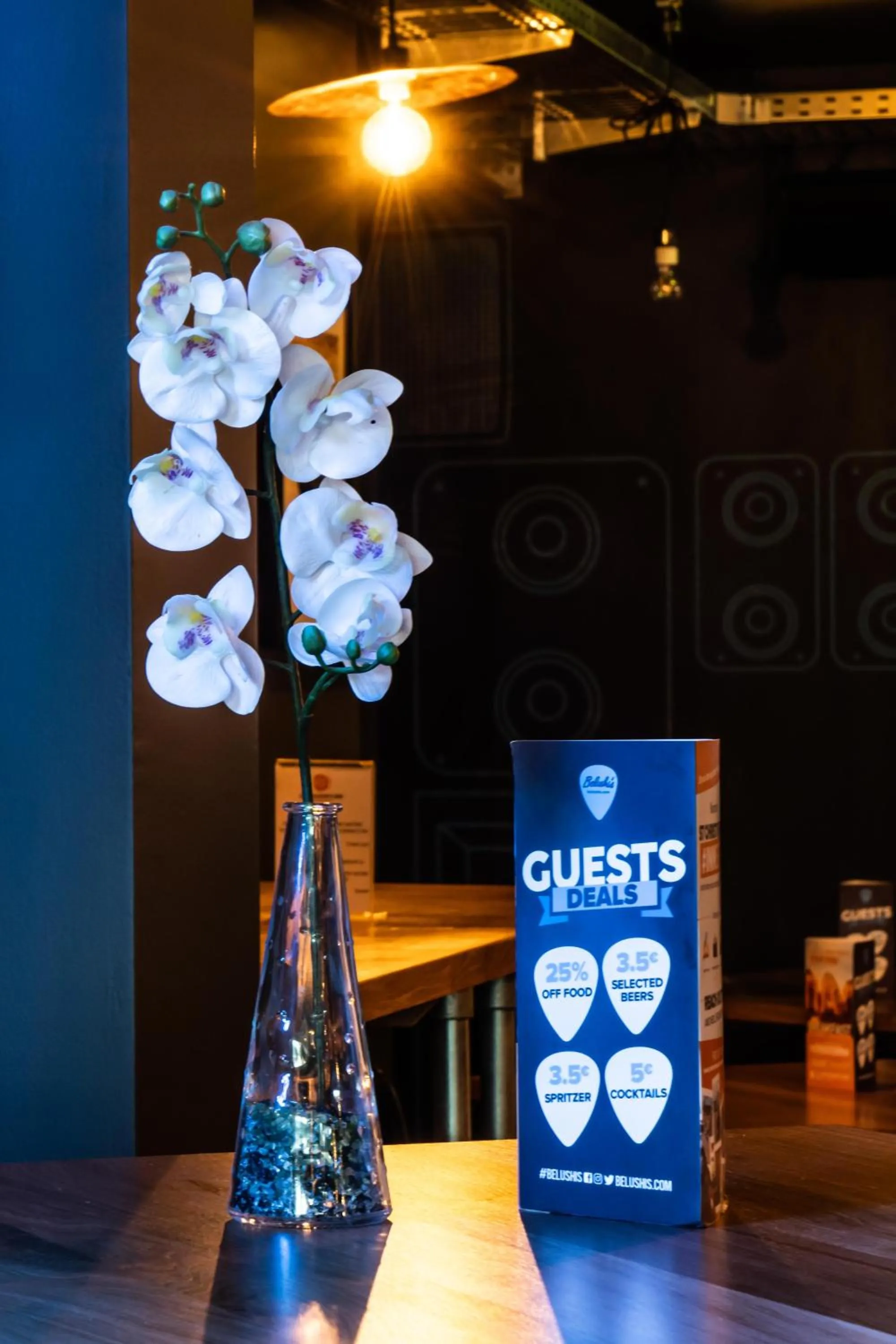 Logo/Certificate/Sign in St Christopher's Inn Vienna