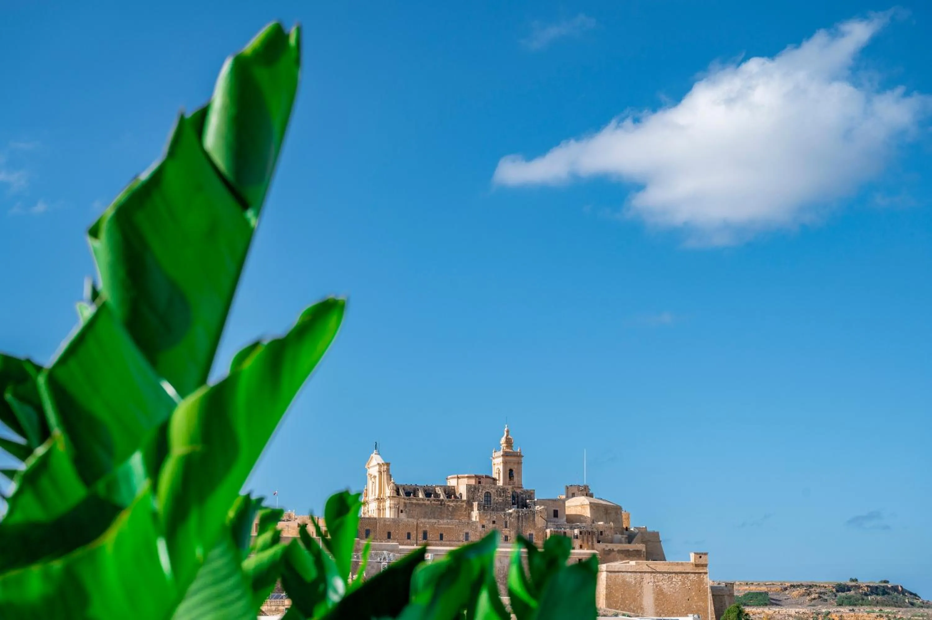 View (from property/room) in Townhouse17 Boutique Bed & Breakfast