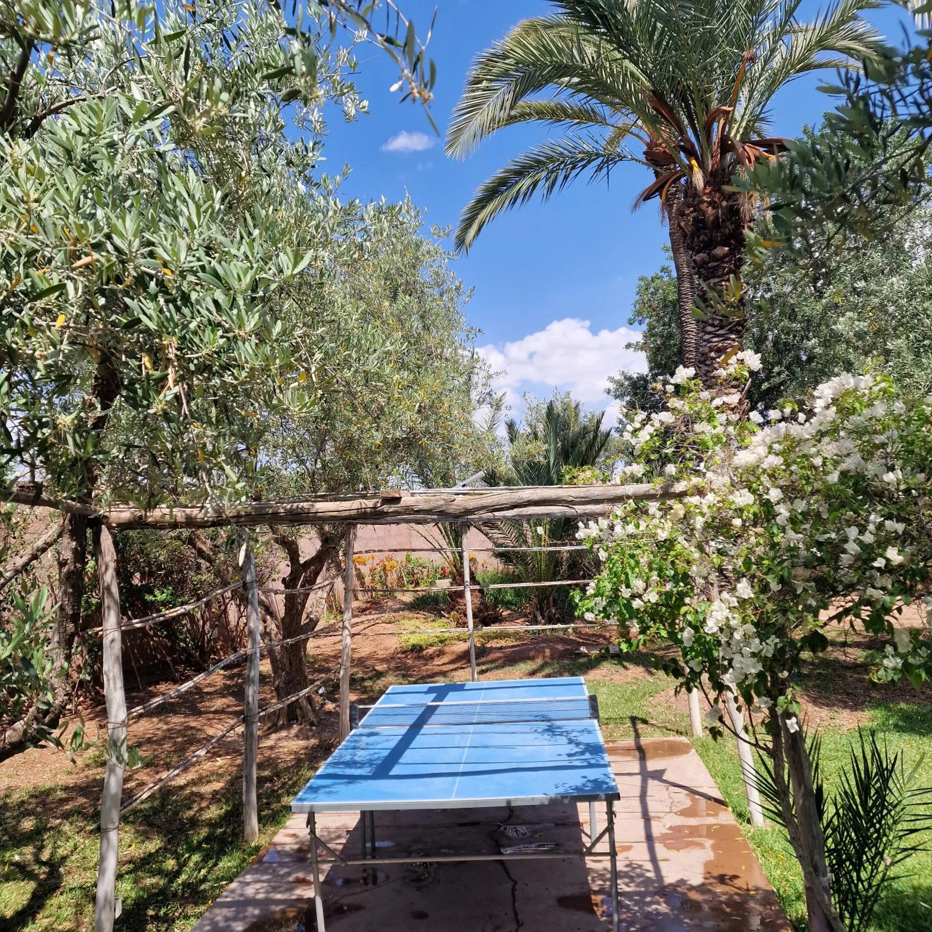 Garden in Dar 55 - Berber House