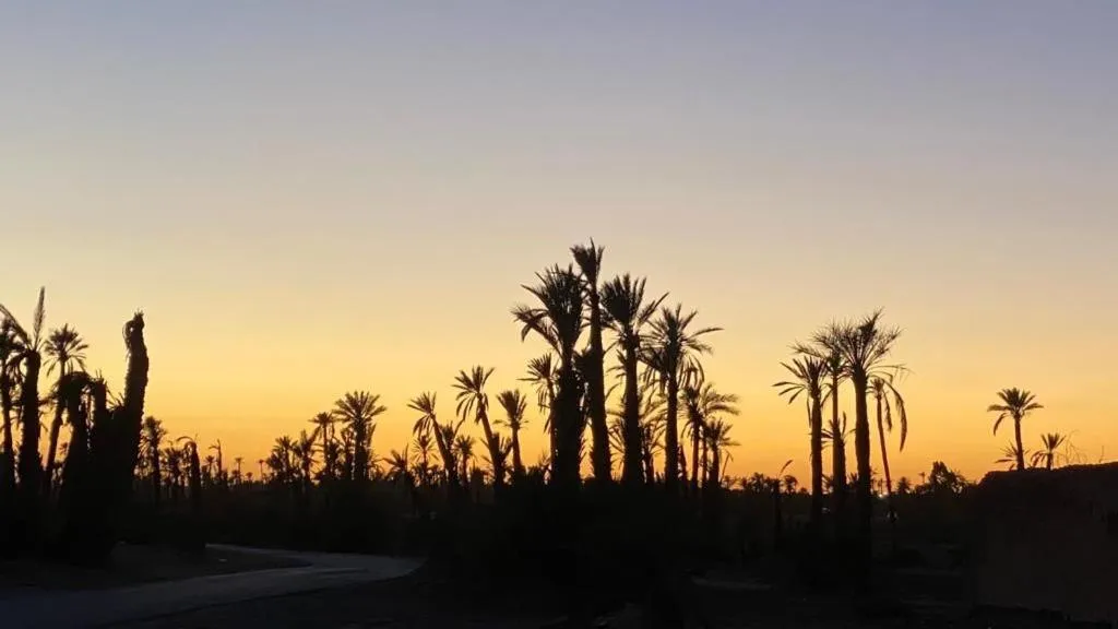 Dar 55 - Berber House