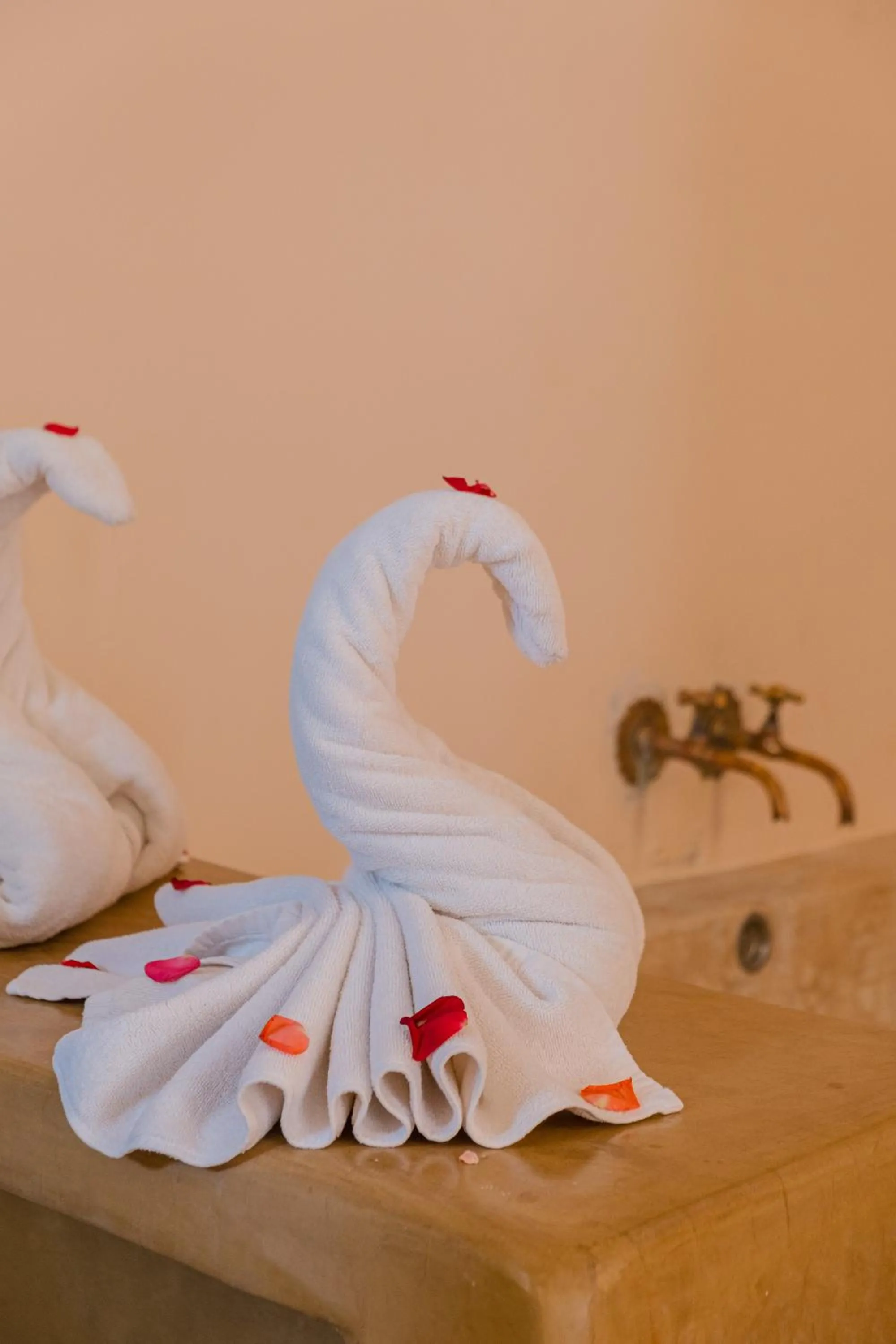 Dar 55 - Berber House