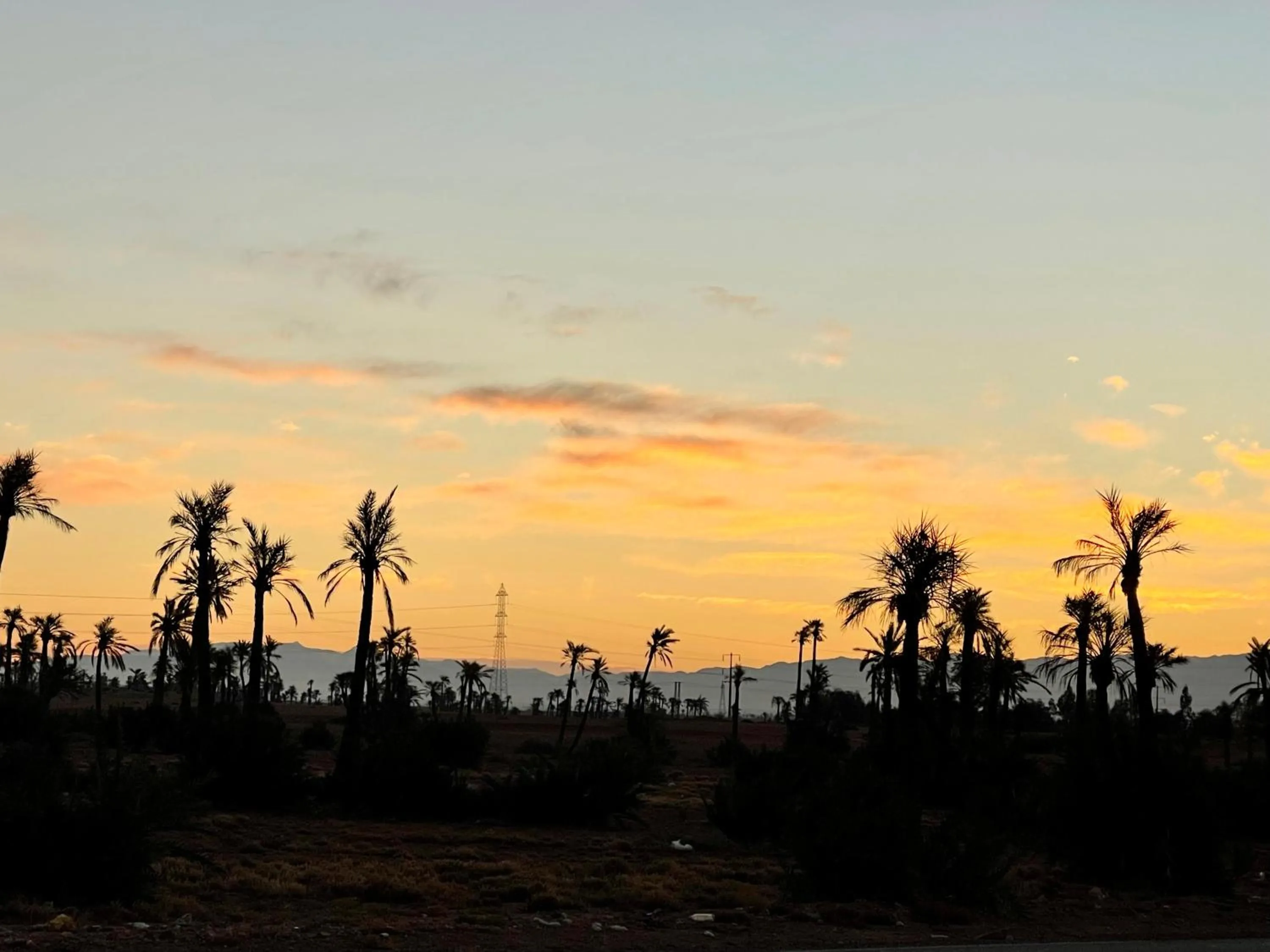 Dar 55 - Berber House